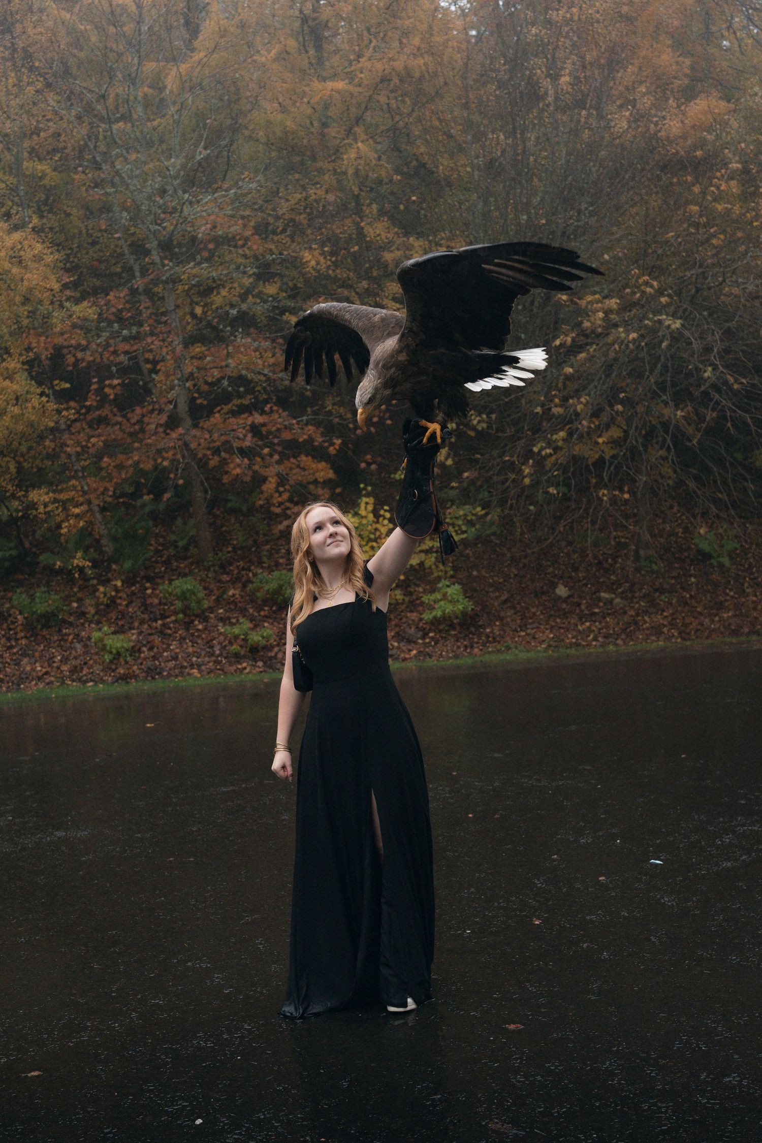 A person in a black dress stands near a dark pond in autumn with moody forest scenery in the background.