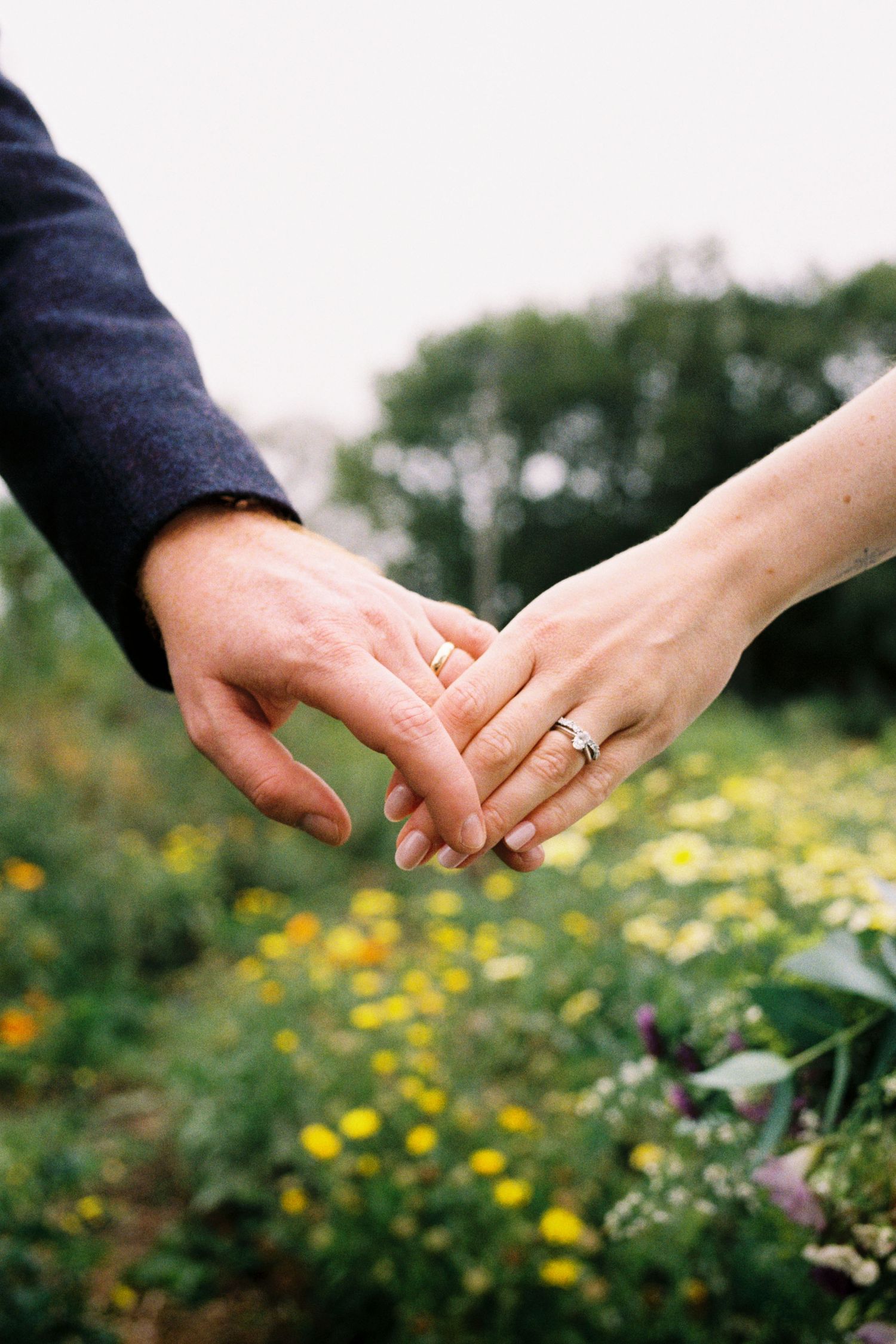 Two hands reach out to hold each other in a tender moment against a backdrop of yellow wildflowers in a garden.