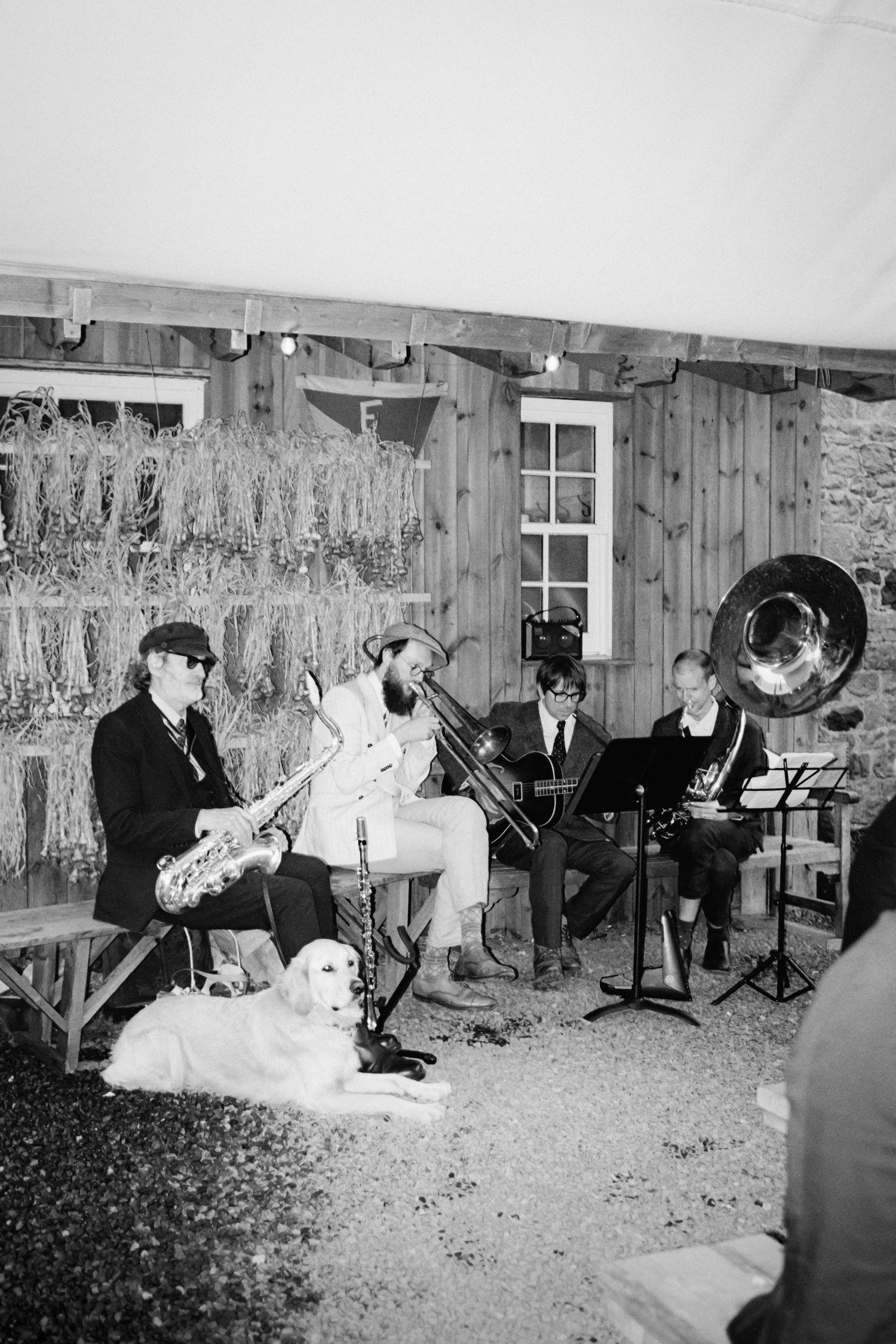 Musicians in formal attire perform in a rustic wooden room with music stands and decorative foliage.