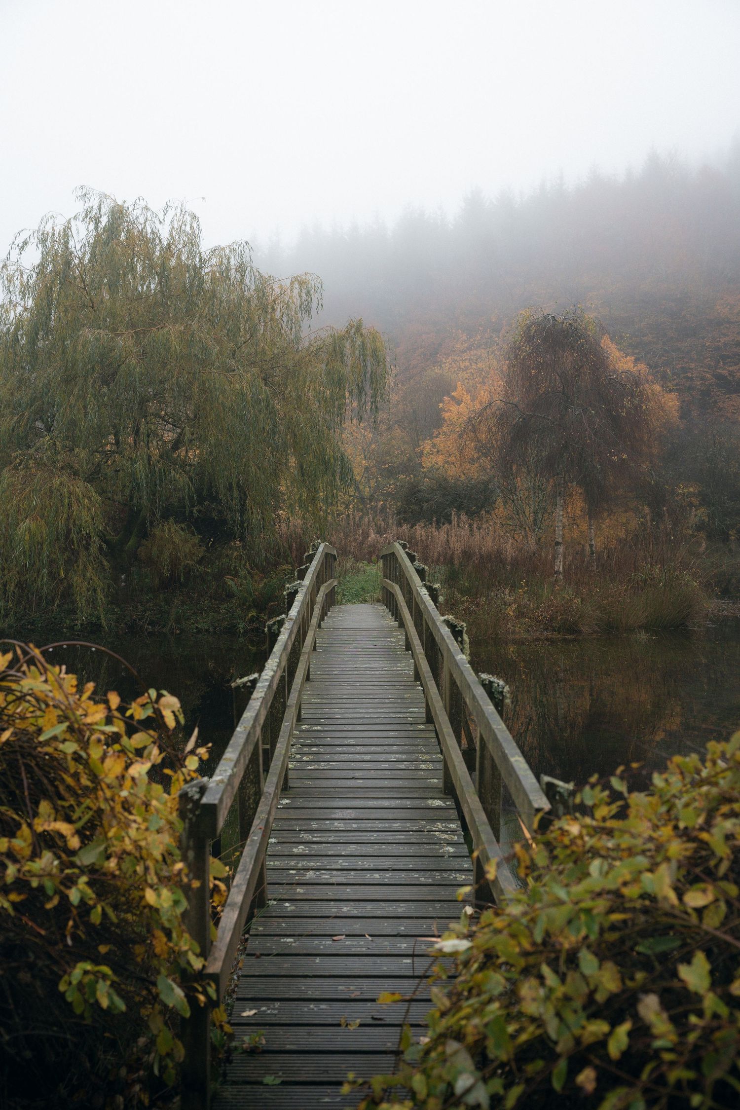 A misty wooden footbridge spans across water surrounded by autumn foliage and weeping willows.