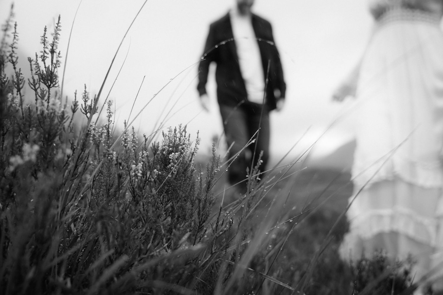 A series of black and white photos showing people walking through tall grass and wildflowers in a meadow.