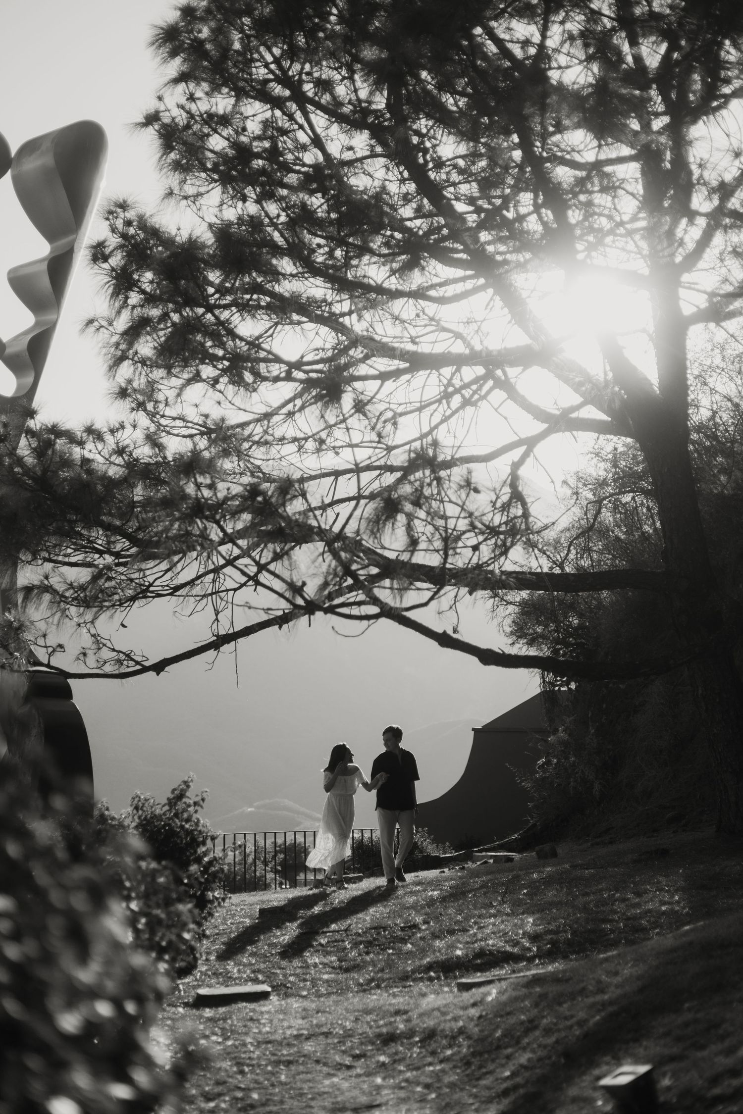 Black and white photo of a couple holding hands walking along a scenic mountain path beneath a large pine tree.