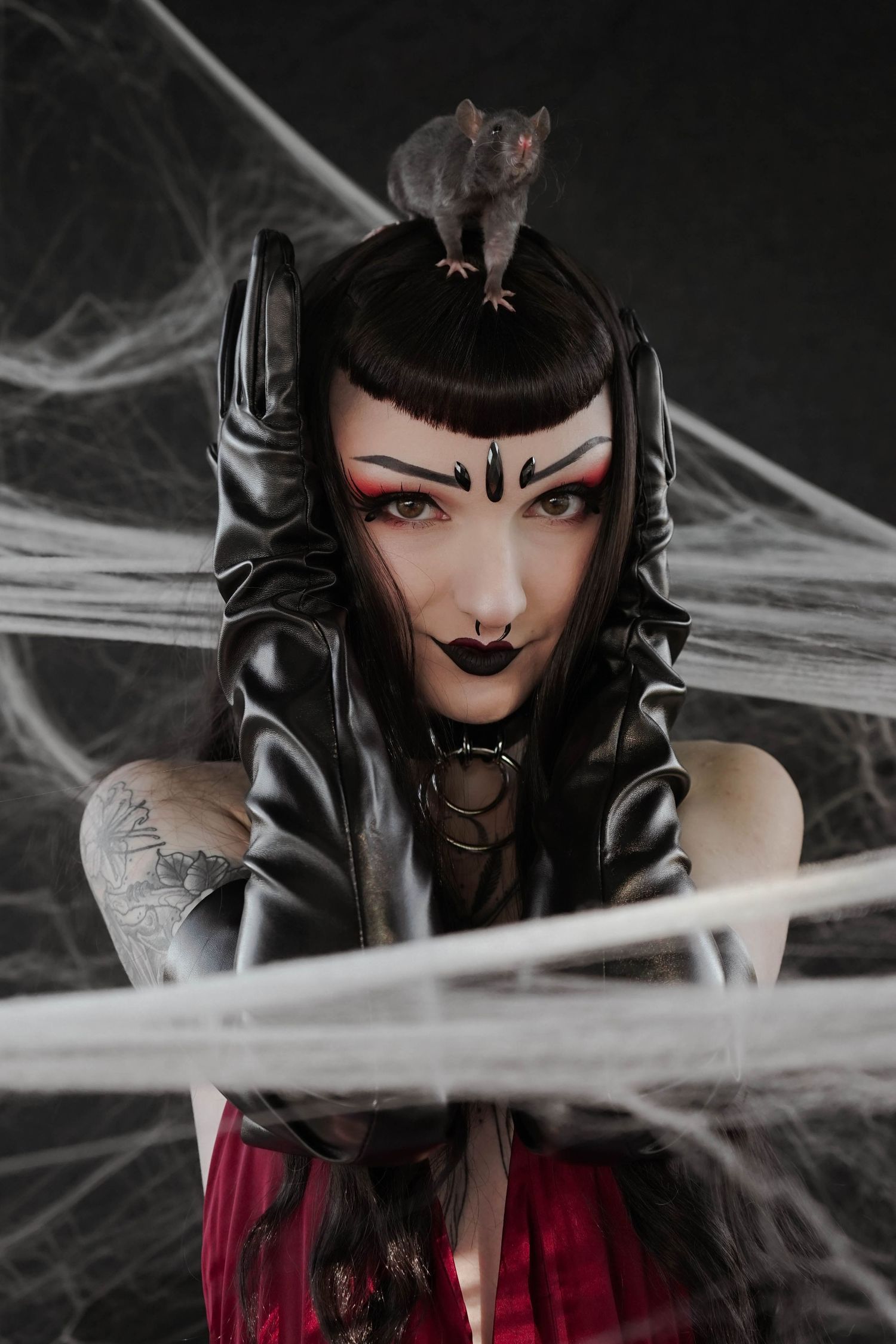 Creative portrait of dark hair woman with a rat on her head and spiderwebs around the frame of the image