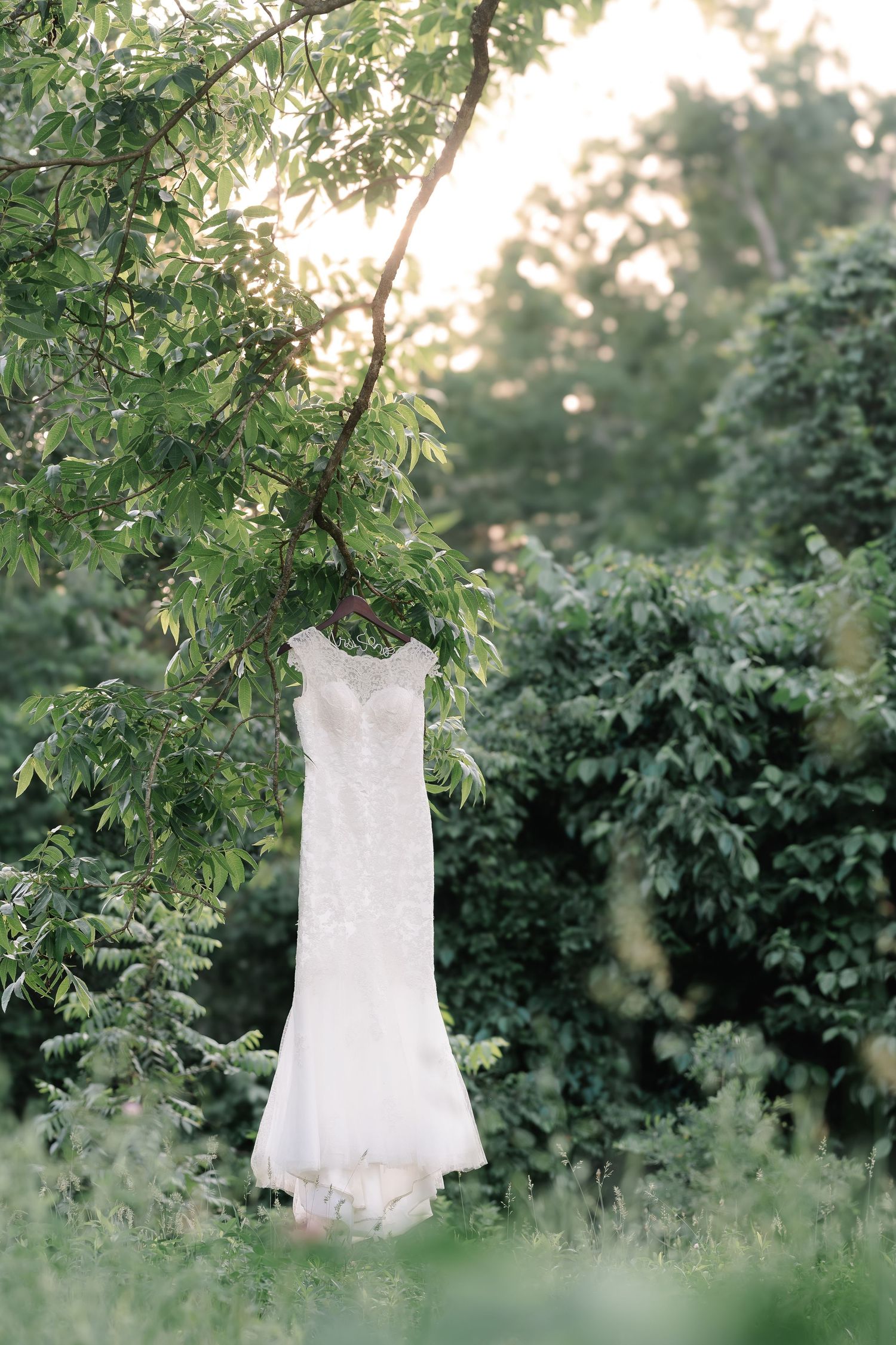 A white lace wedding dress hanging from a tree branch surrounded by lush green foliage in soft golden light.