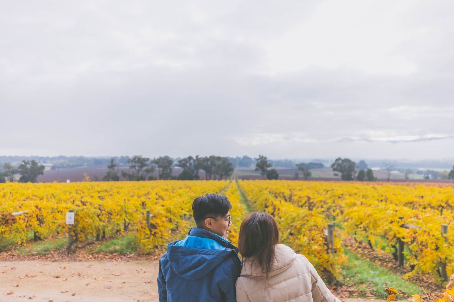 Travel documentary taken in Yarra Valley