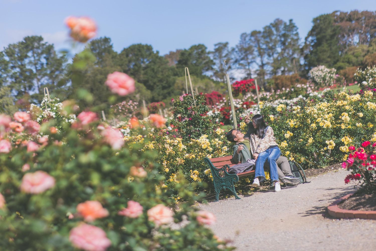 Family photo taken in Werribee Rose Garden, Melbourne