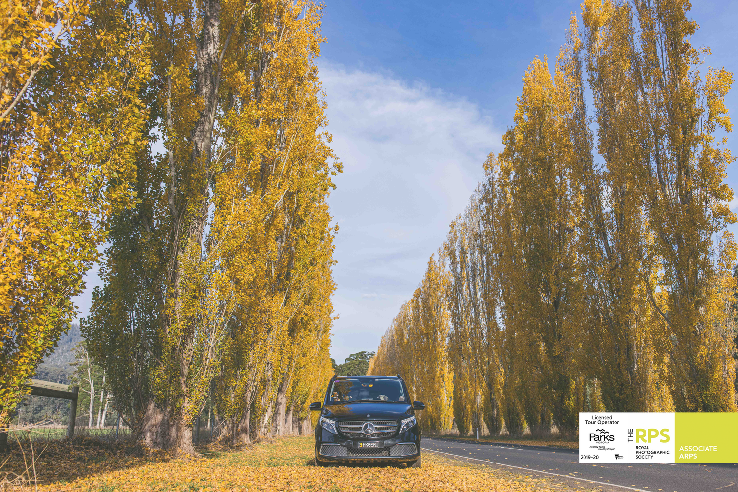 Travel documentary taken in Yarra Valley