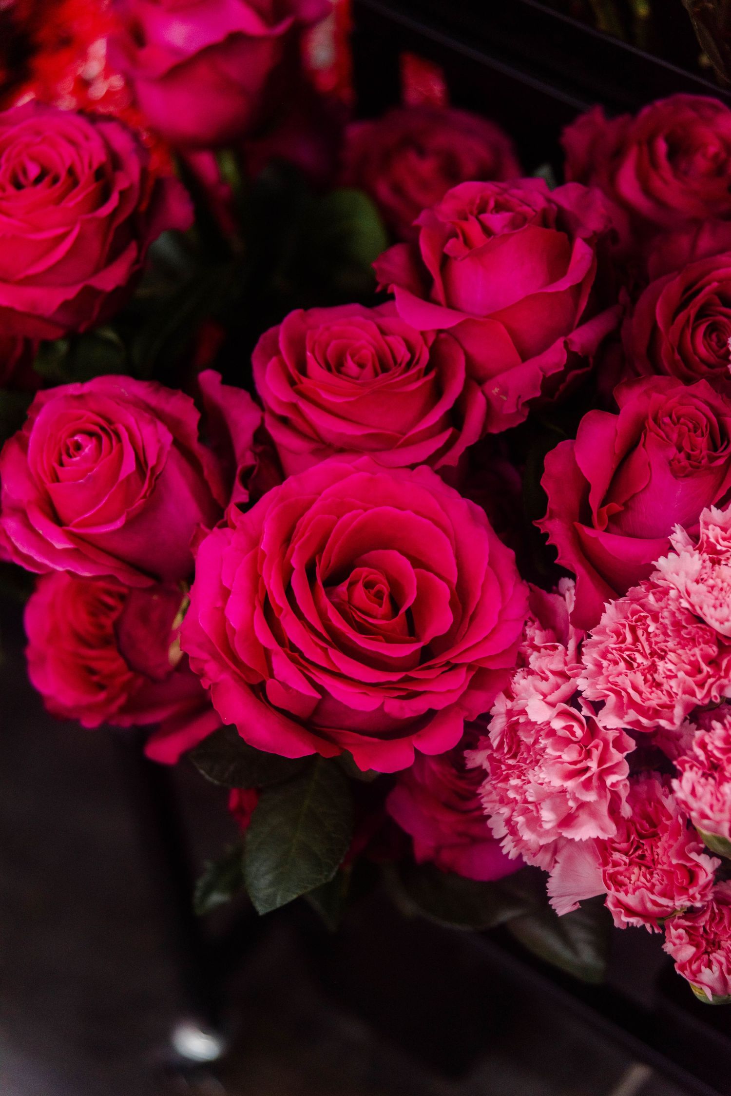 Close-up of vibrant hot pink roses and carnations in a dark moody setting creating a romantic floral arrangement.