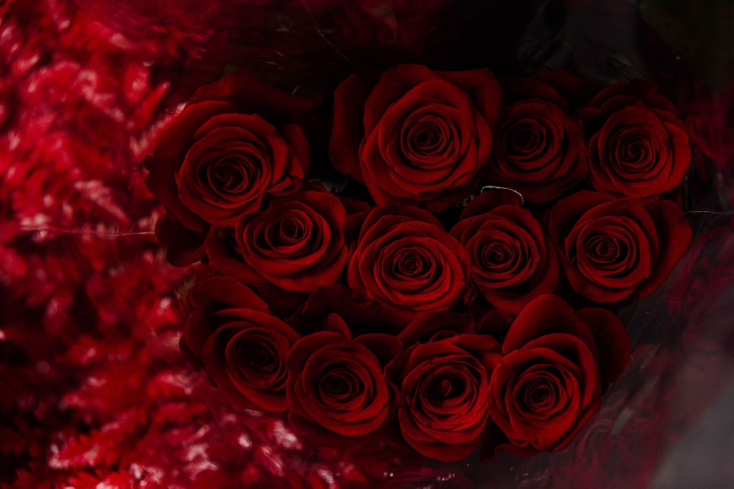 Deep red roses arranged in a romantic heart shape against a dark dramatic background.