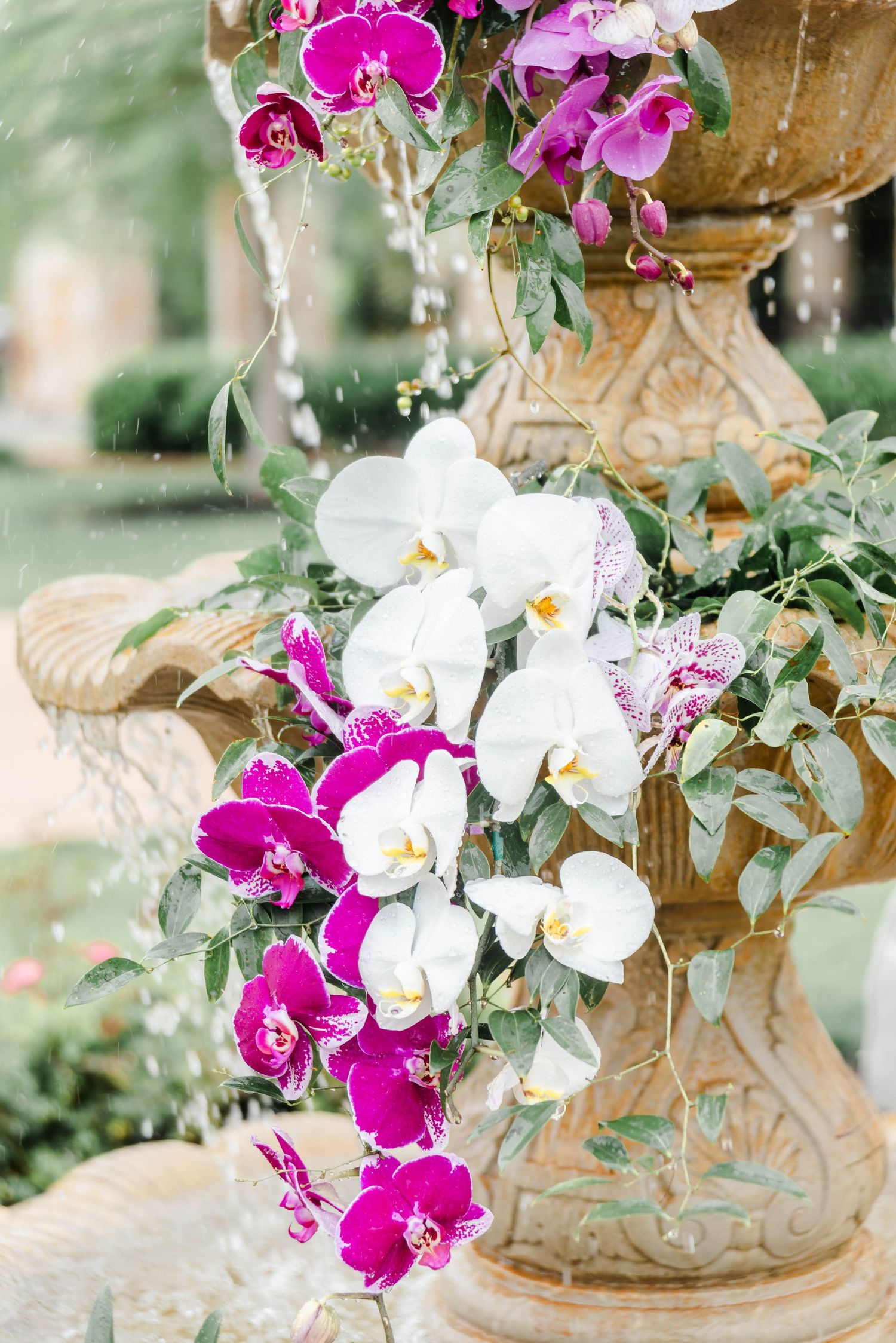 orchid bouquet with purple and white