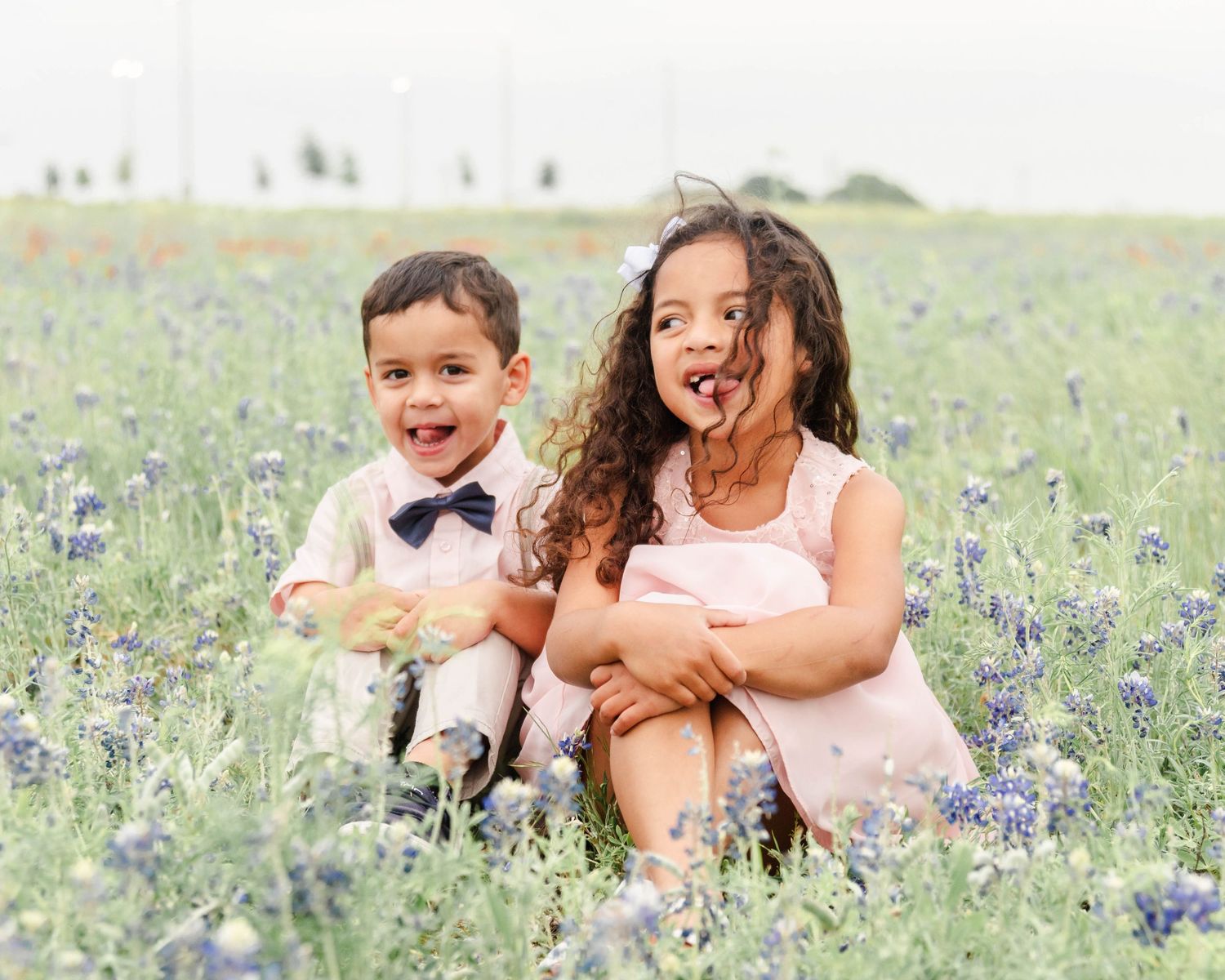 children sitting in bluebonnets