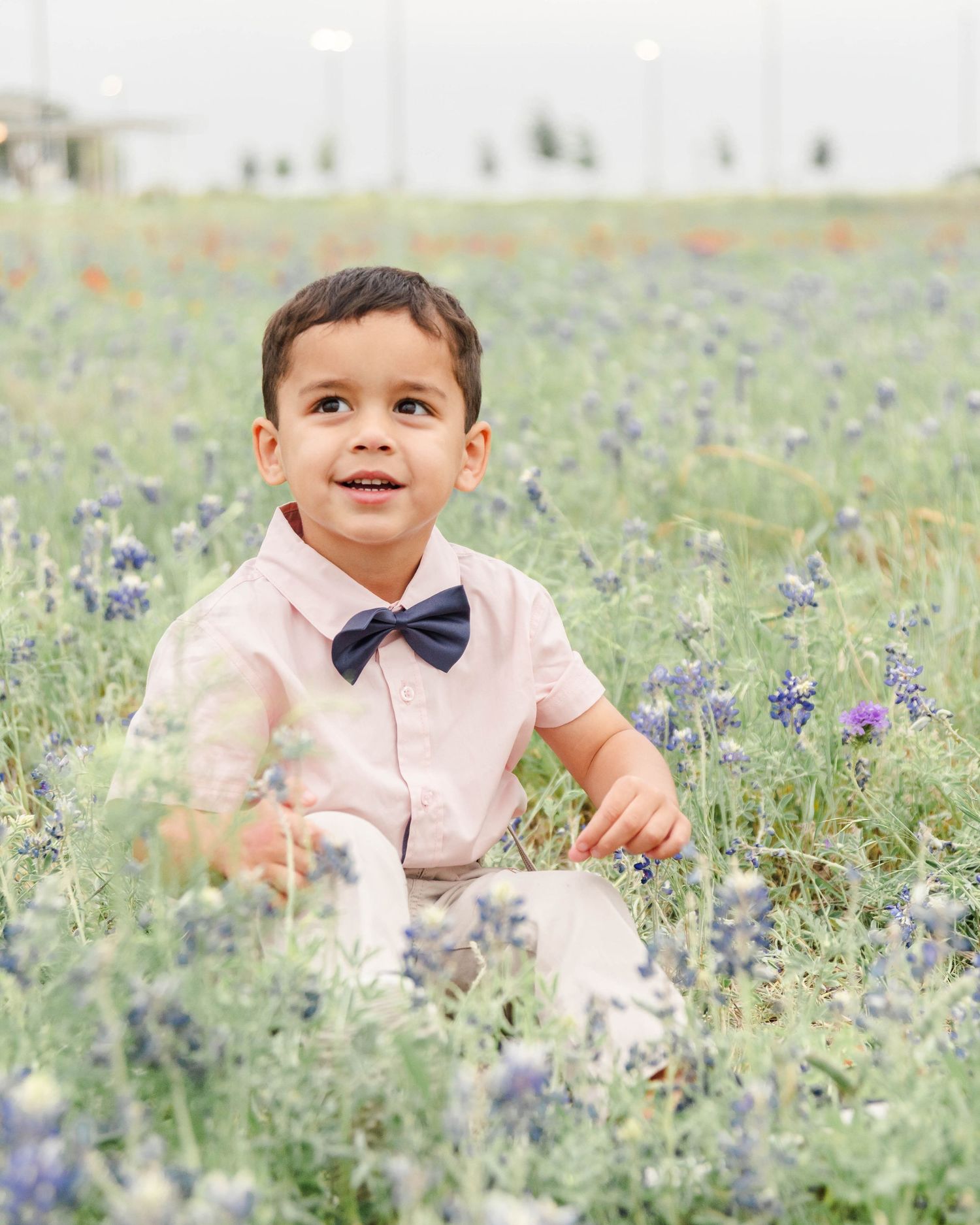 a child sitting in bluebonnets