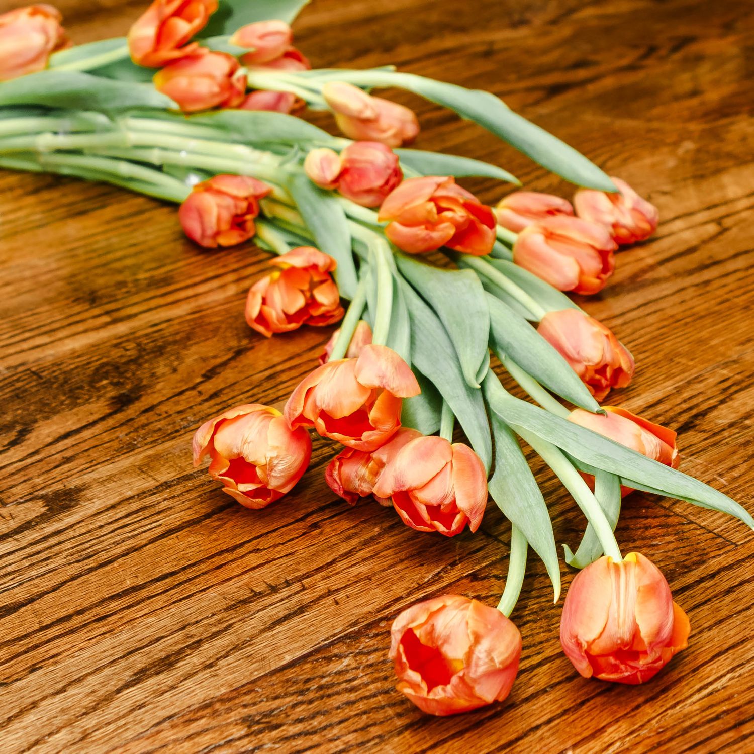 flowing tulip bouquet