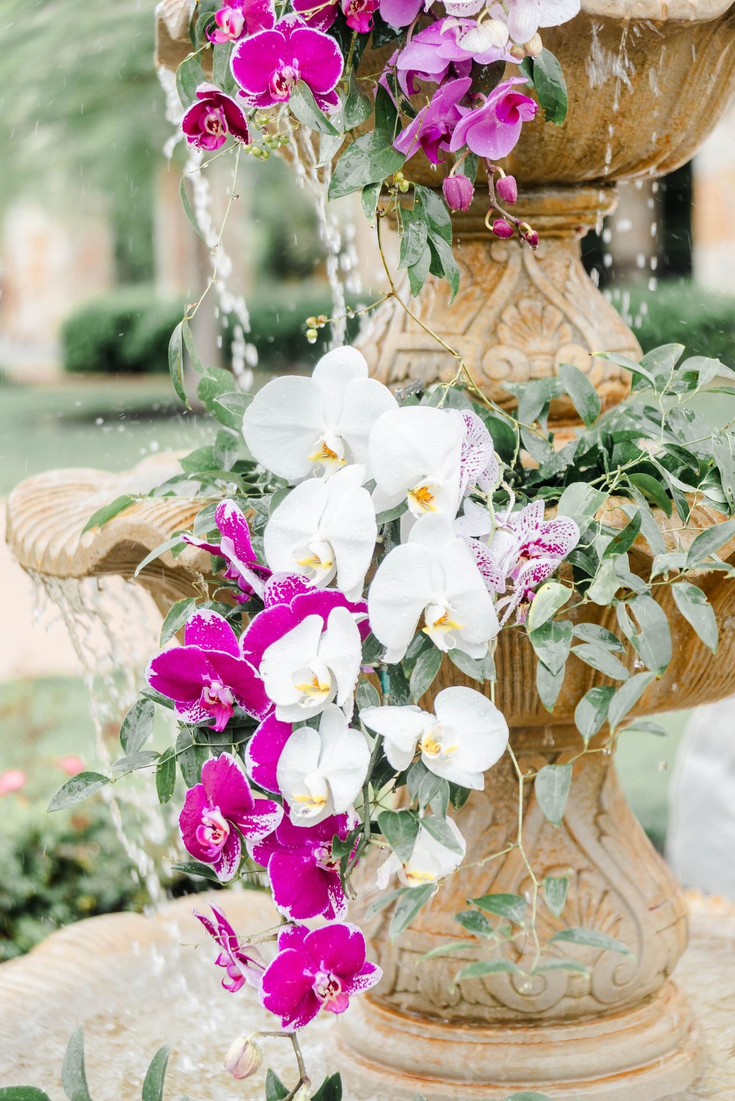 orchid bouquet with purple and white