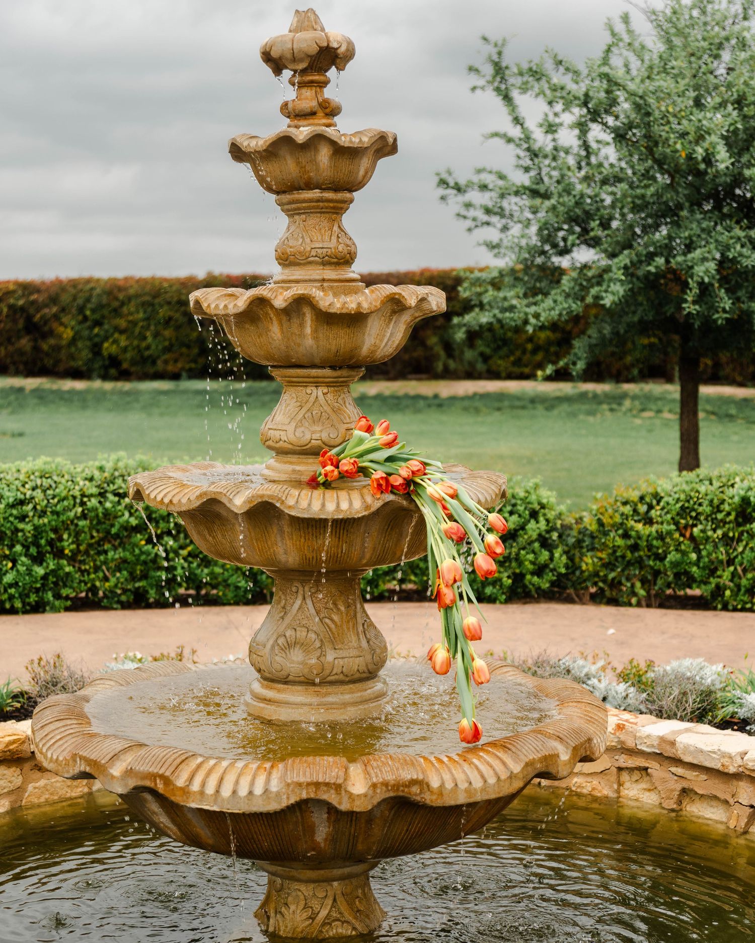 flowing tulip bouquet in the fountain
