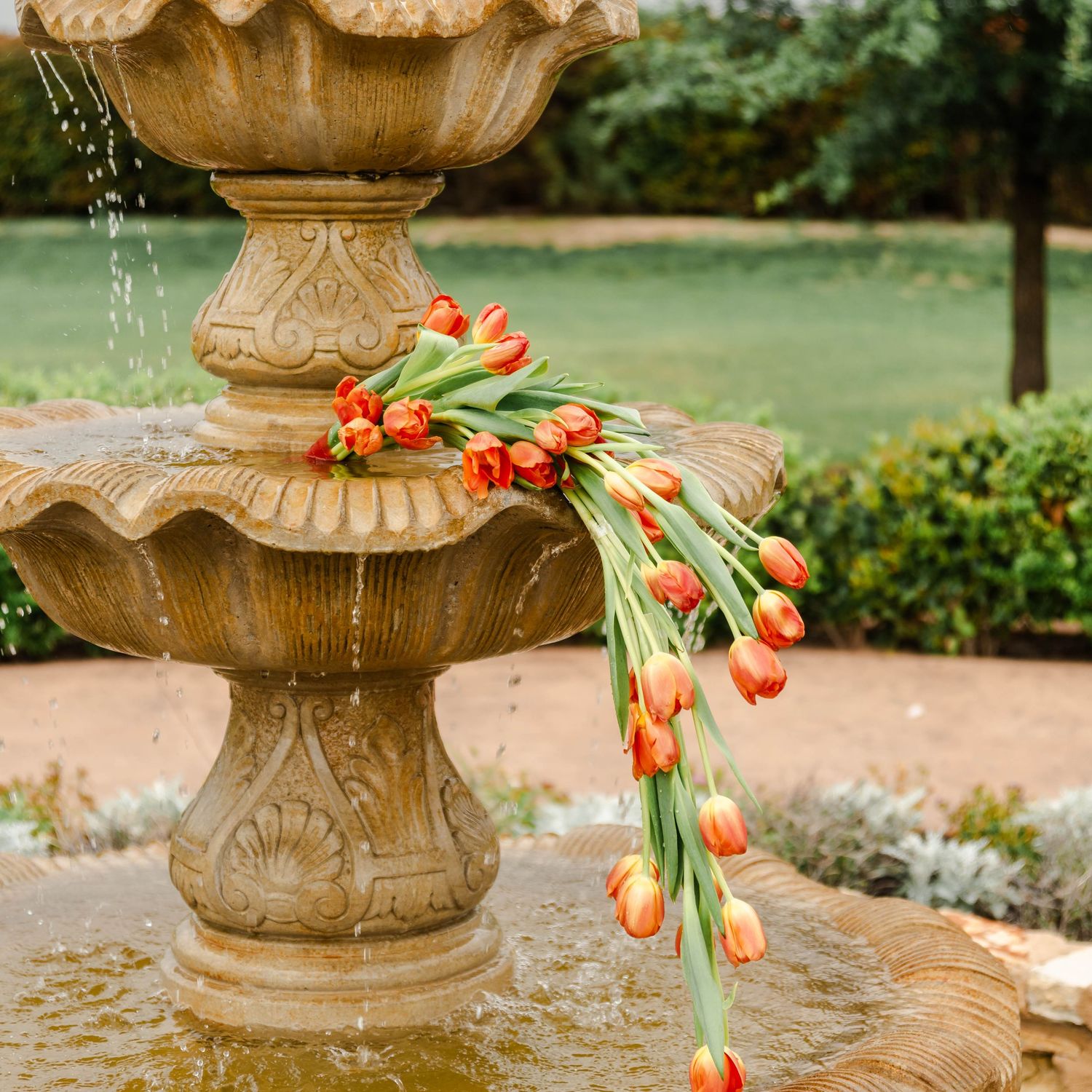 flowing tulip bouquet in the fountain