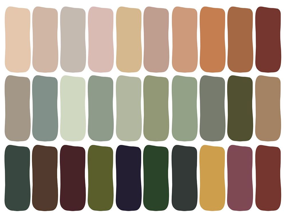 A color palette swatch chart featuring warm neutrals, muted greens, and deep earth tones arranged in three rows.
