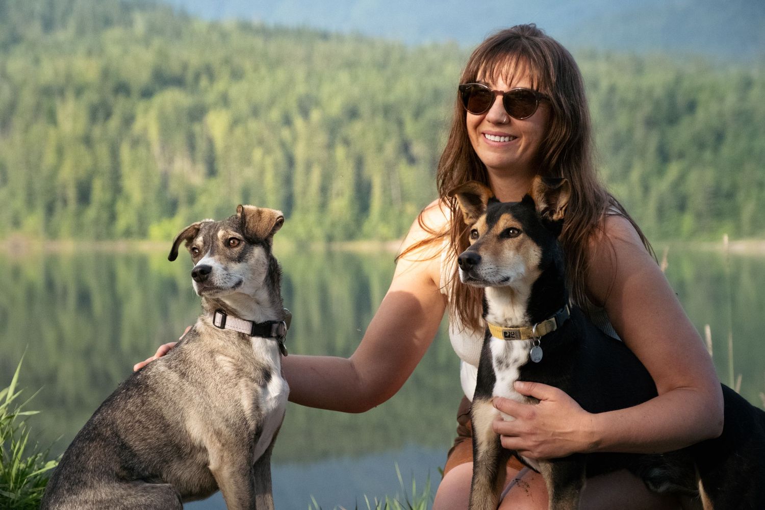 revelstoke pet photography
