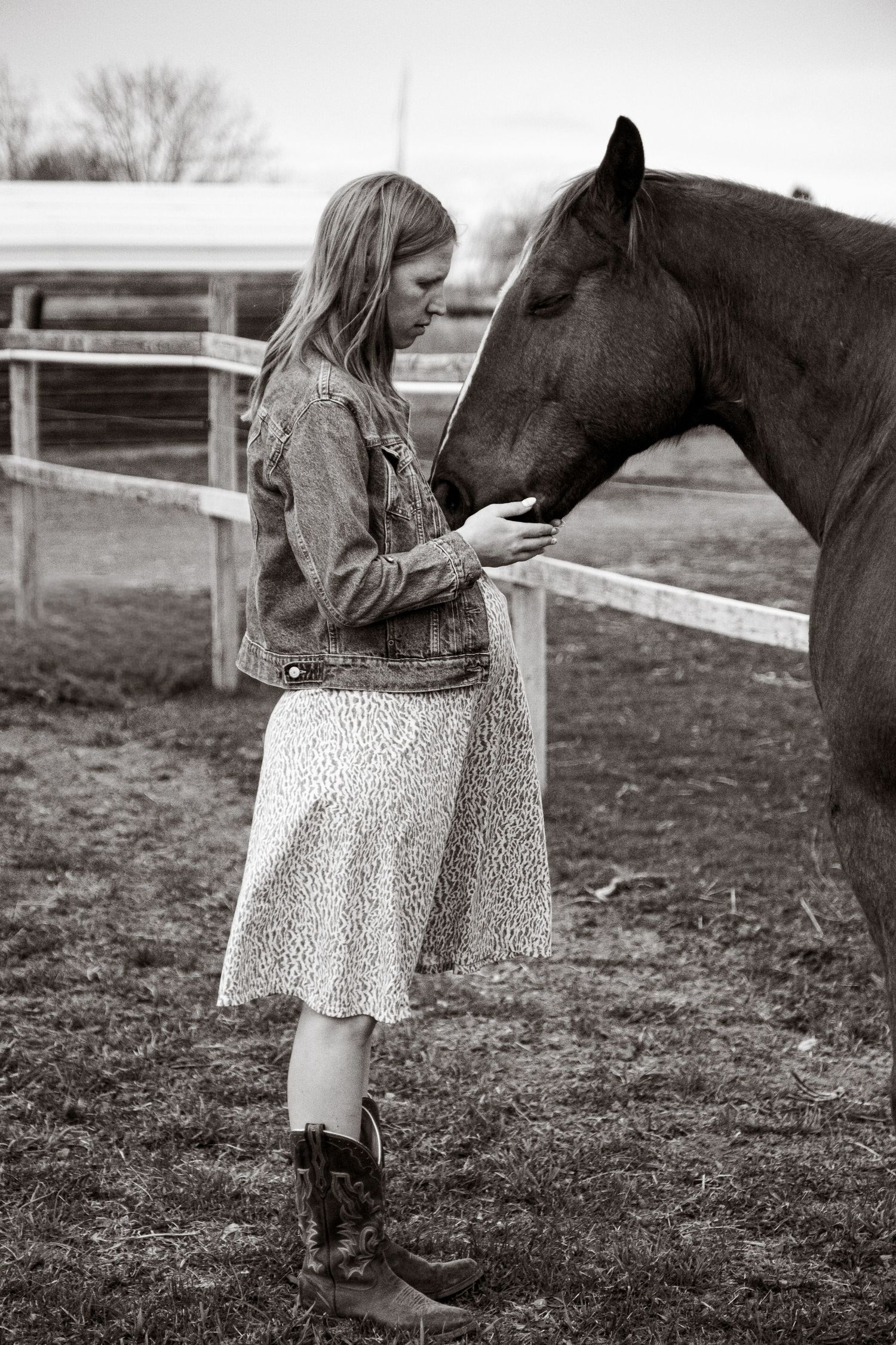 Client and Horse
