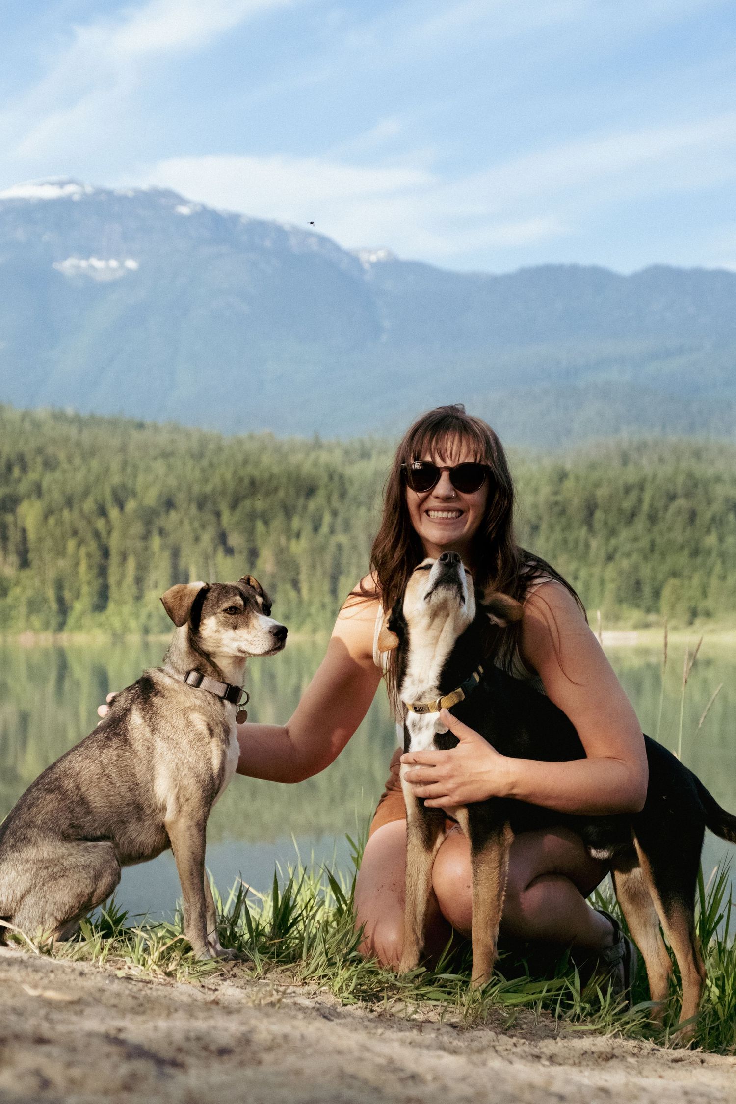 pet photography