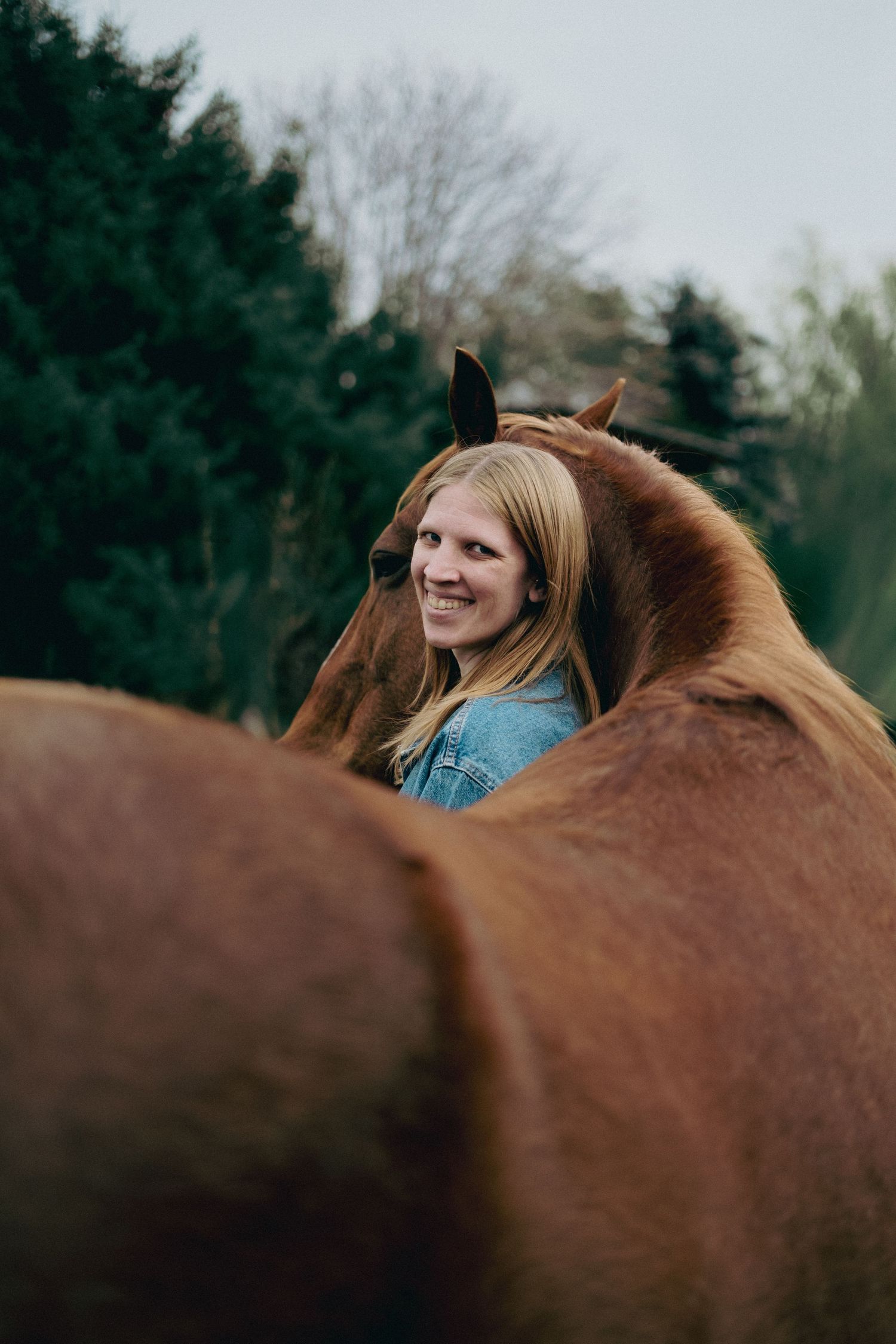Horse Portrait with Client