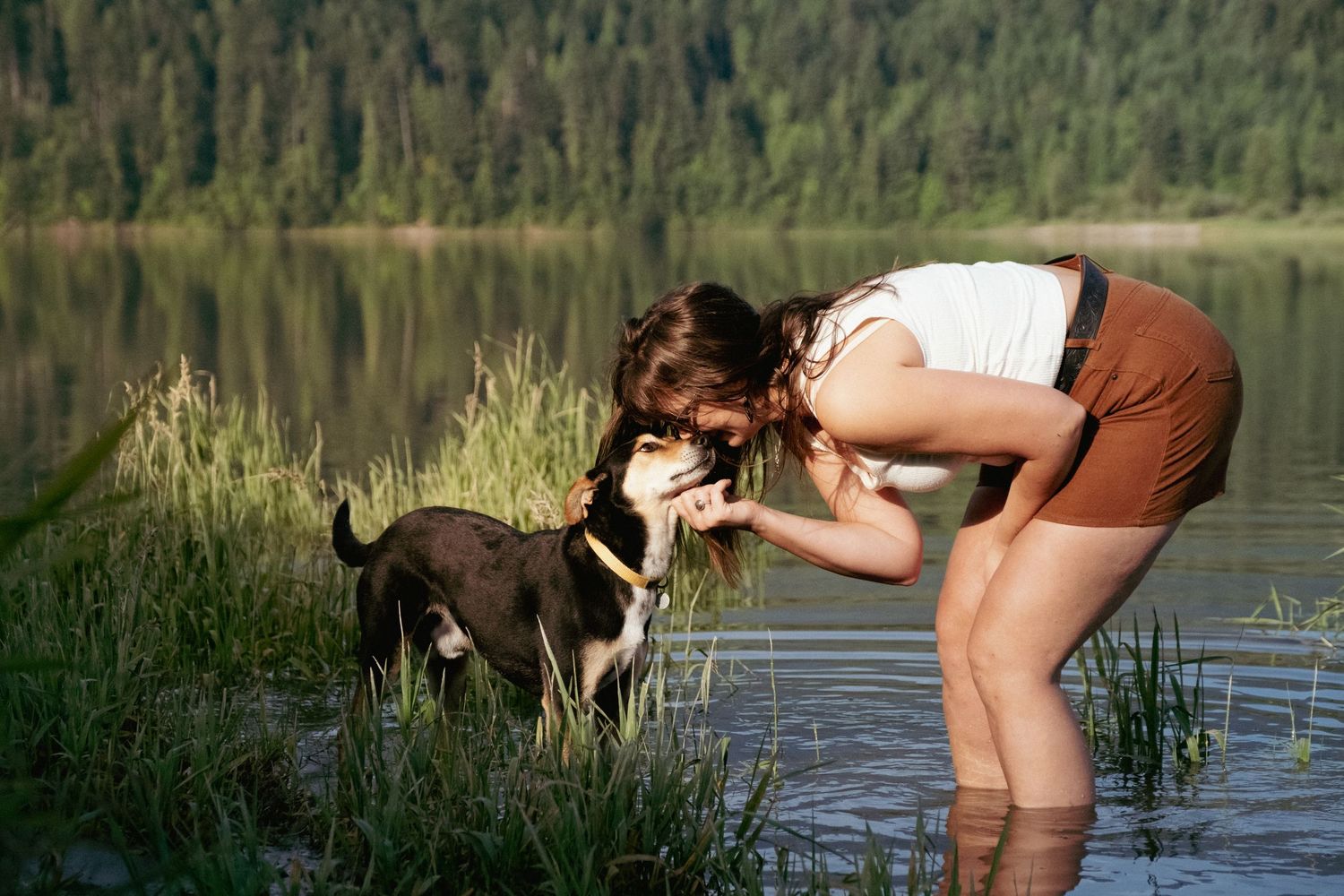 dog and owner