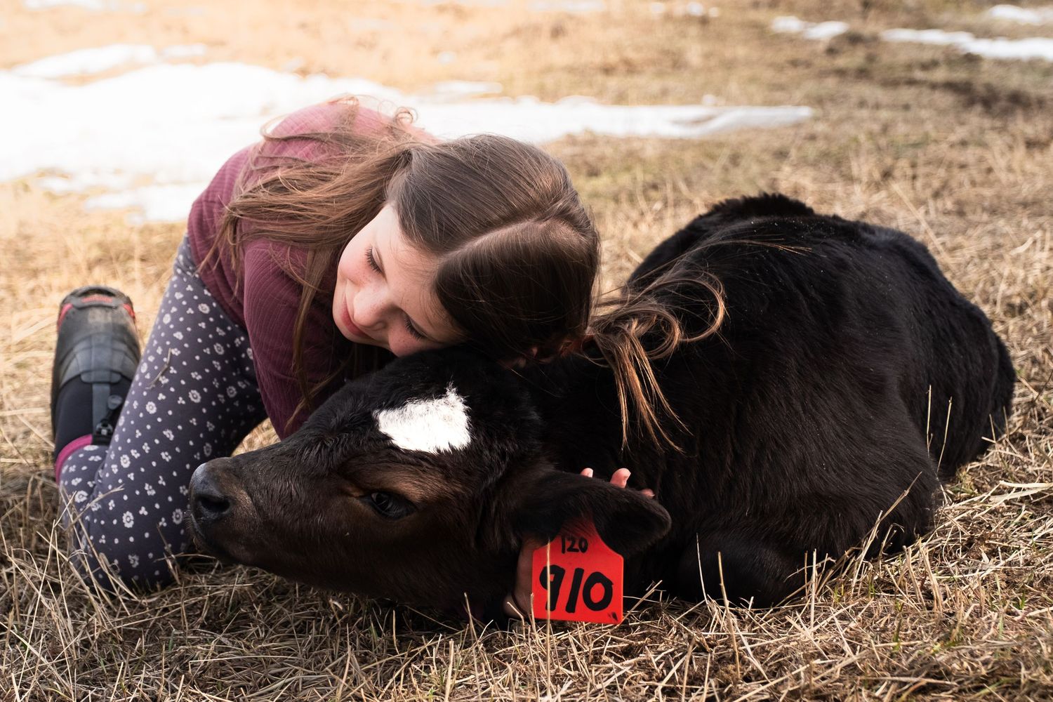 Girl and Calf