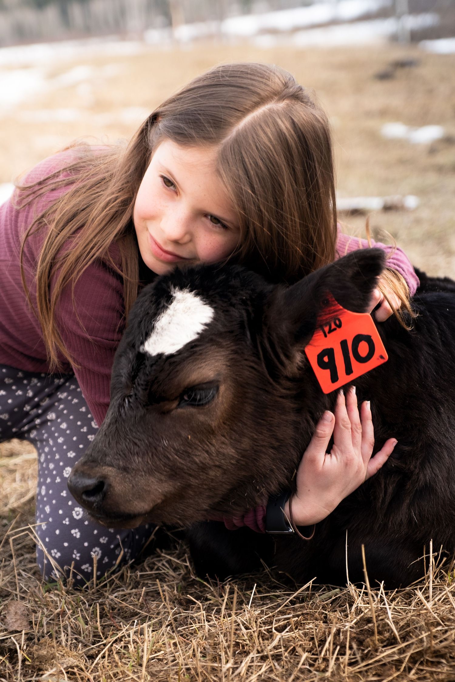 Girl and Calf