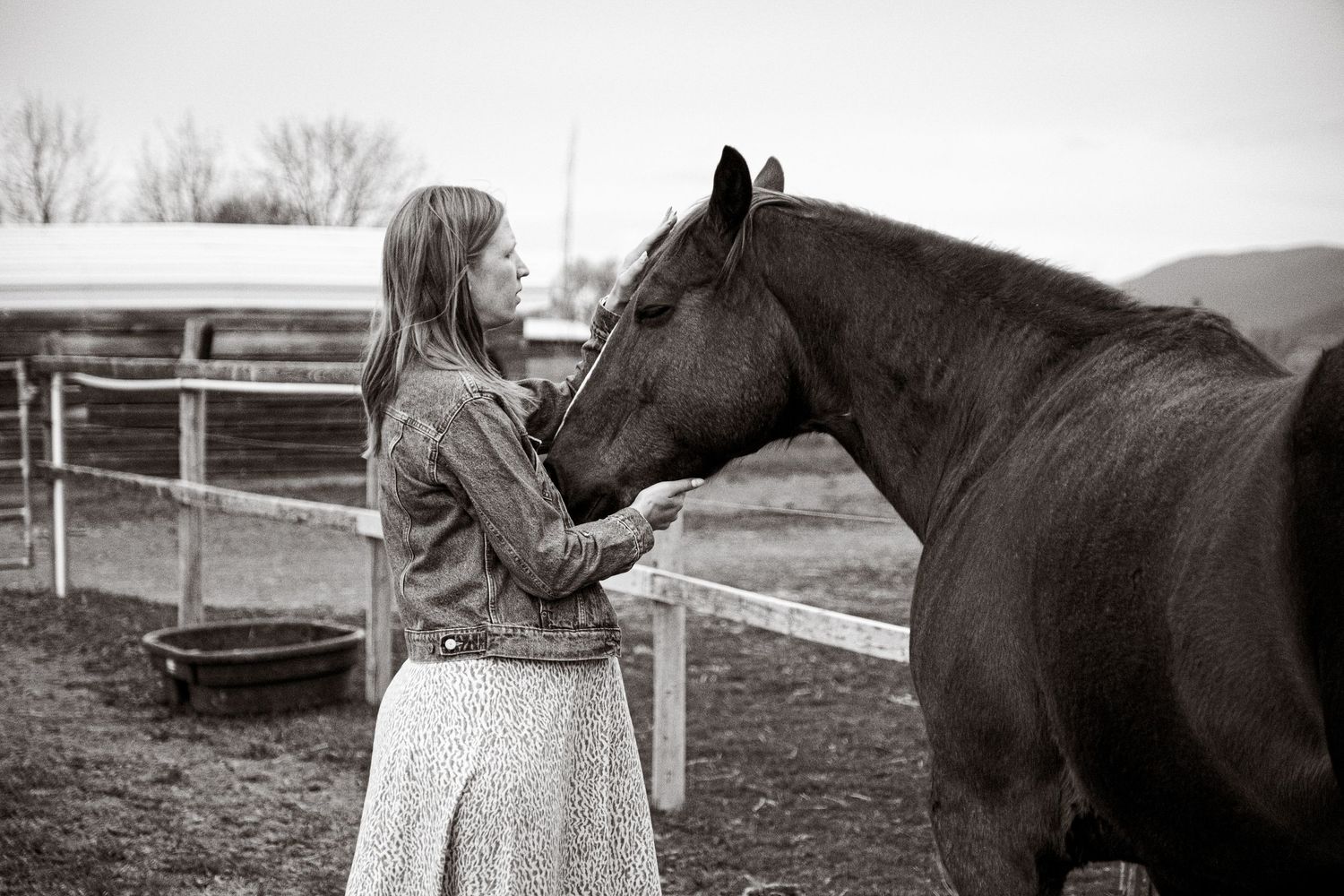 Client and Horse