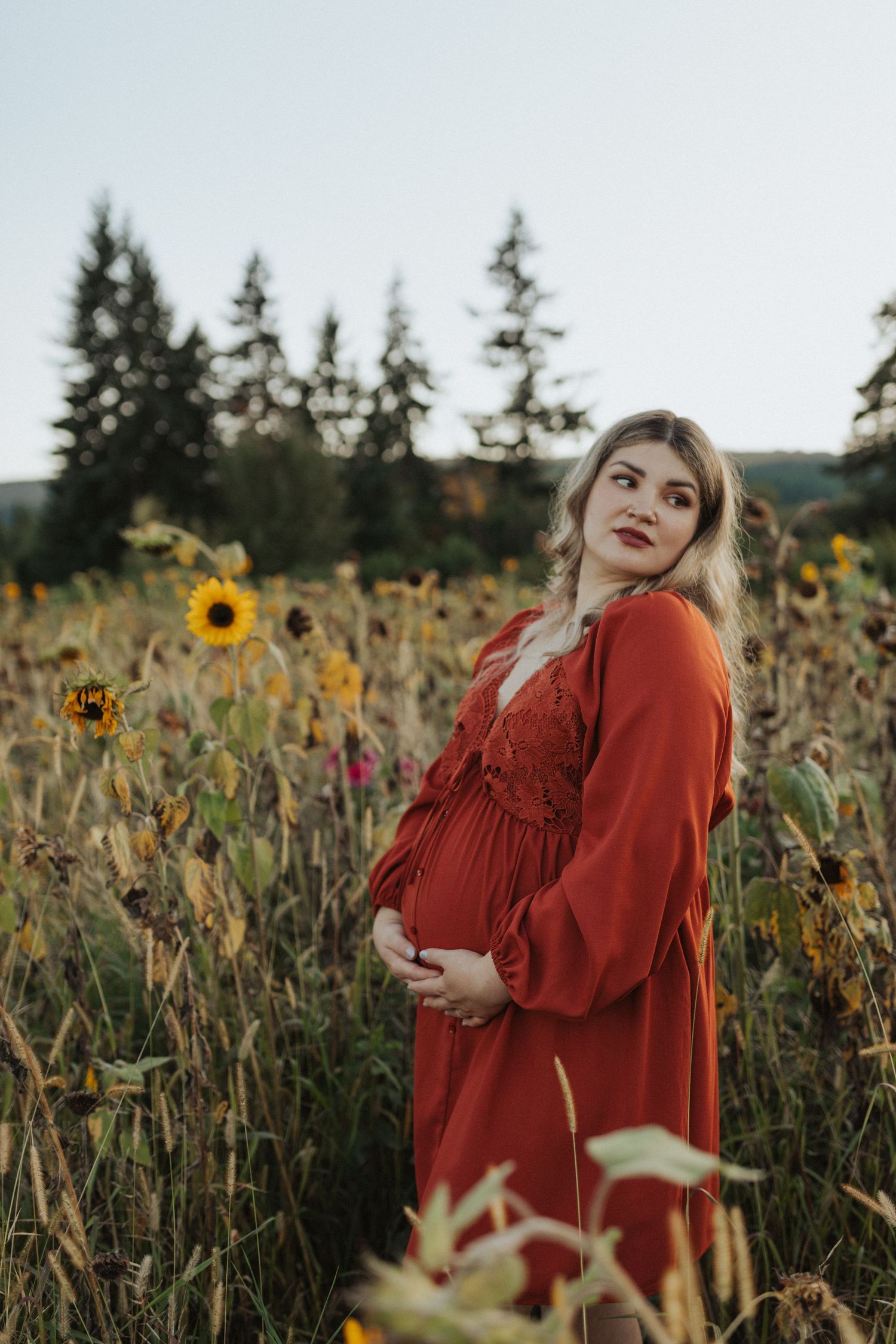 Pregnant woman in rust red dress cradles baby bump in a golden sunflower field at dusk.