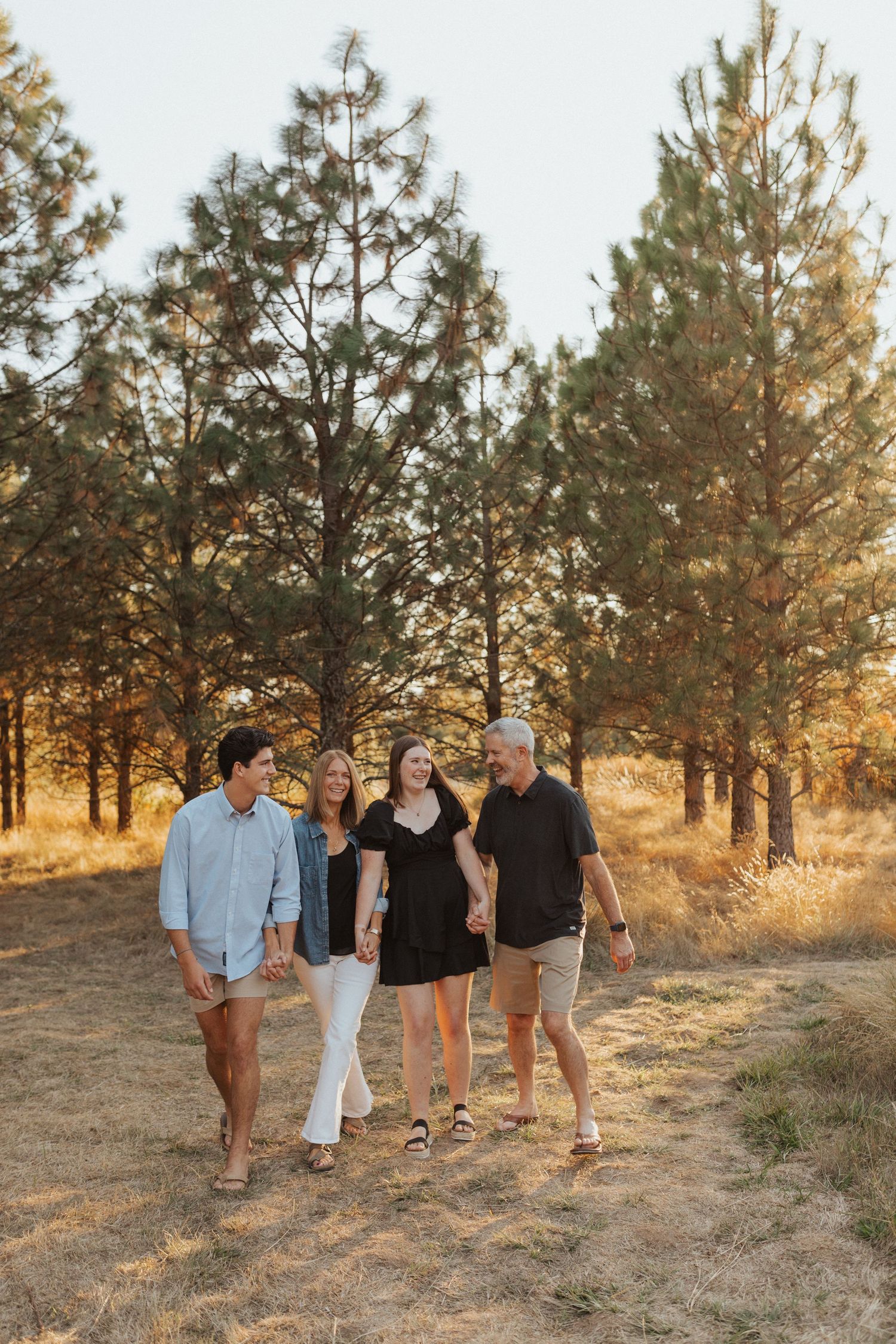 Family of four walking together through a sunlit pine forest path during golden hour.
