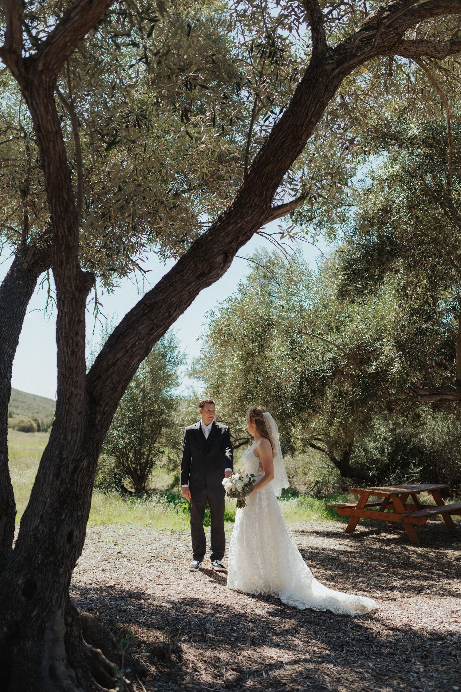 Bride and groom share a romantic moment under an olive tree at their outdoor wedding venue.