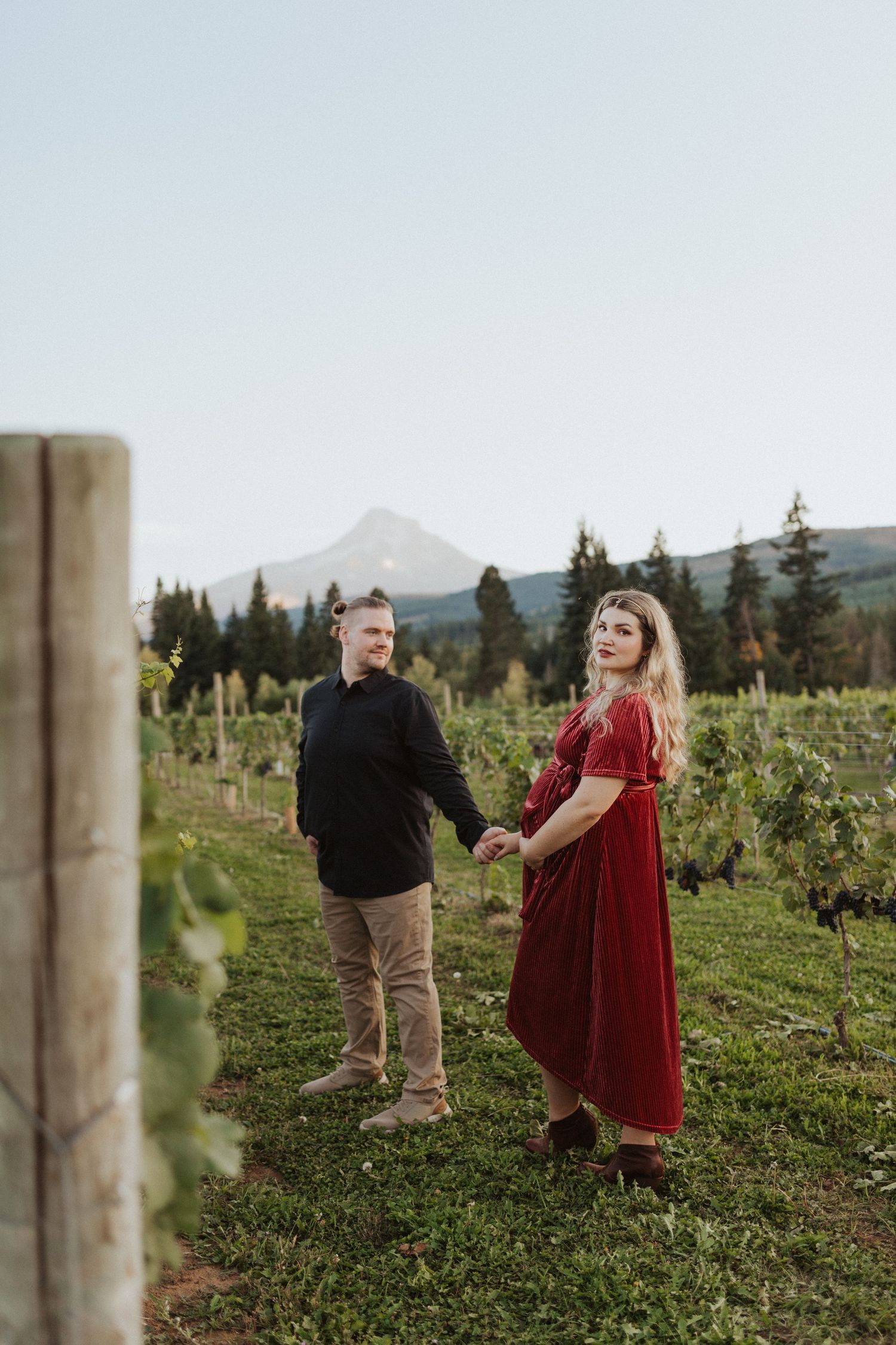 Pregnant couple holding hands in a vineyard with a snow-capped mountain visible in the background.
