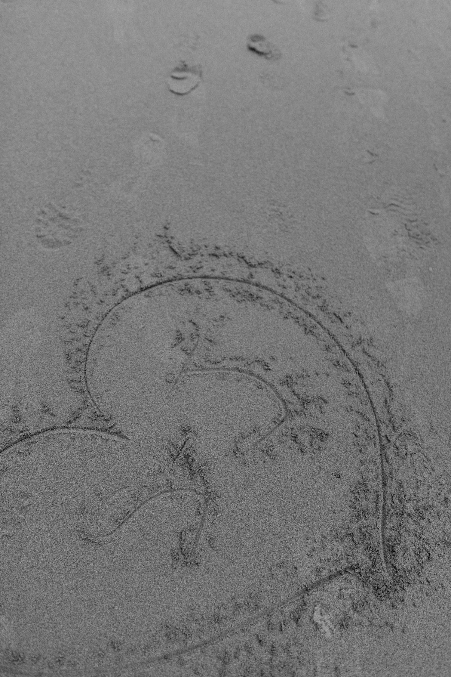 Heart shape drawn in wet sand on a beach, symbolizing love and romance.