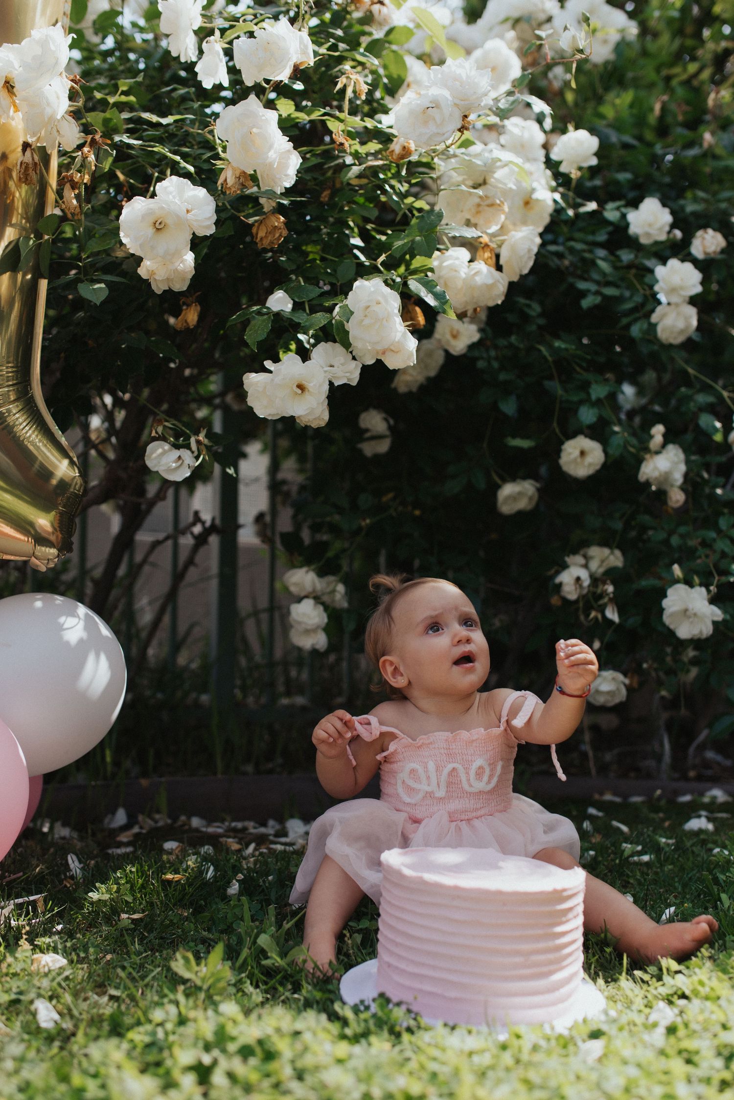 Baby girl in pink dress sits on grass near white birthday cake under blooming rose bush.