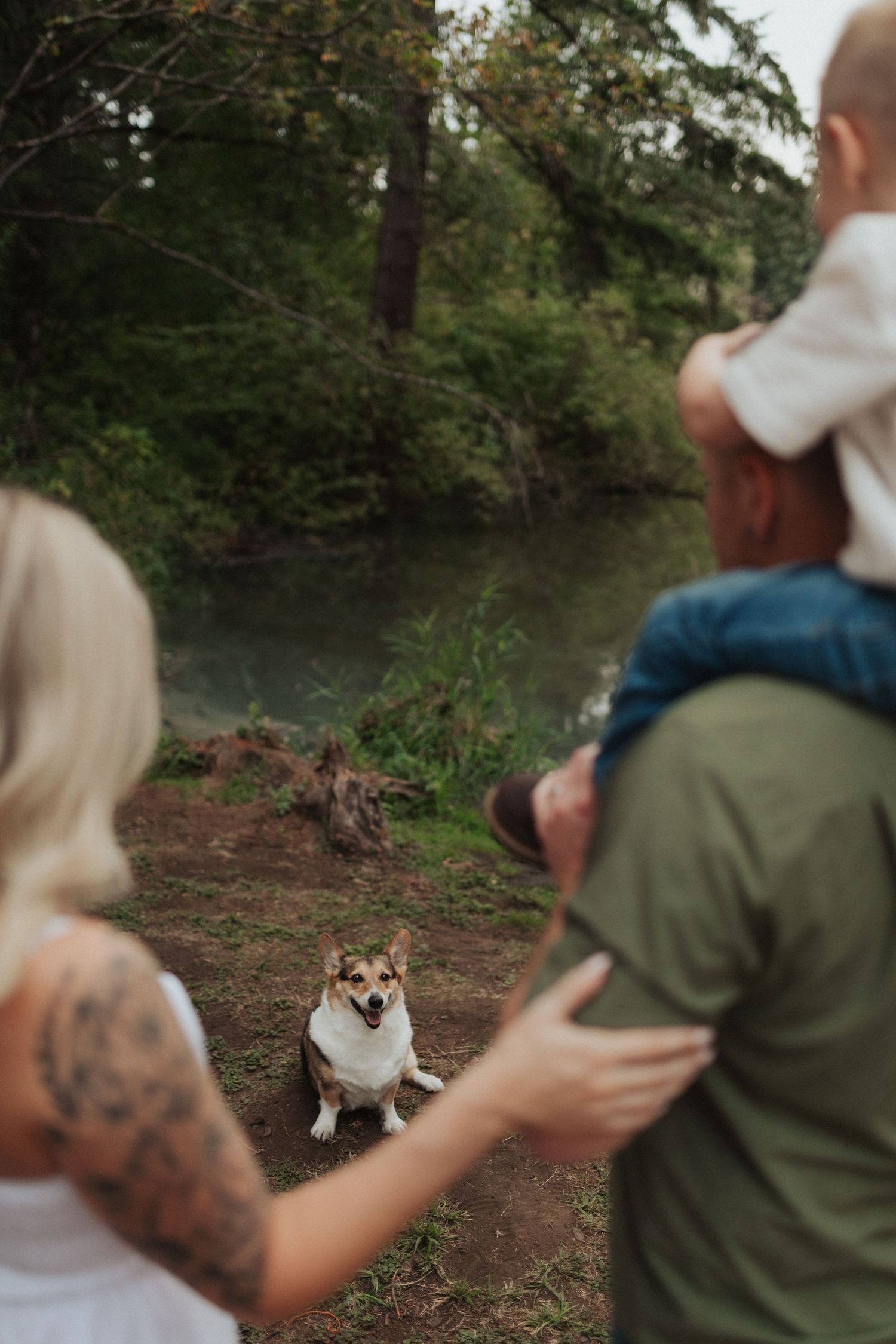 Corgi dog sitting attentively as family with child on shoulders enjoys nature by river.