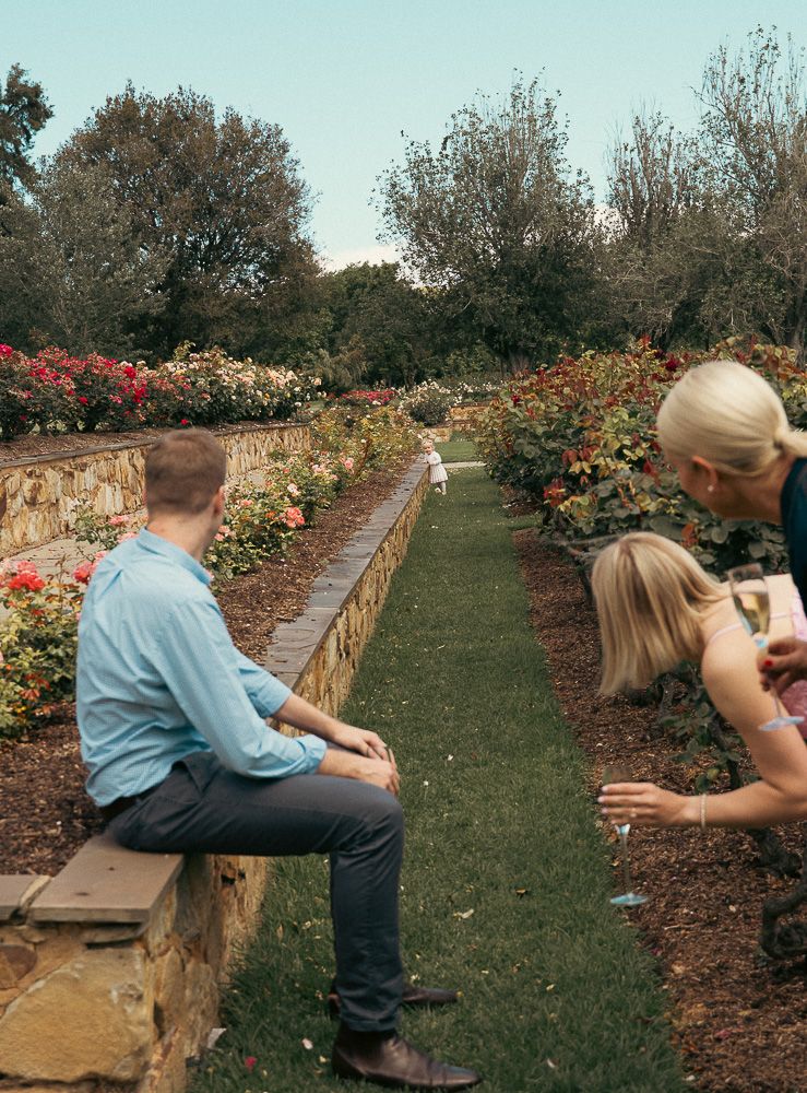 Man sitting on stone wall in a beautiful rose garden with colorful blooms and lush greenery.