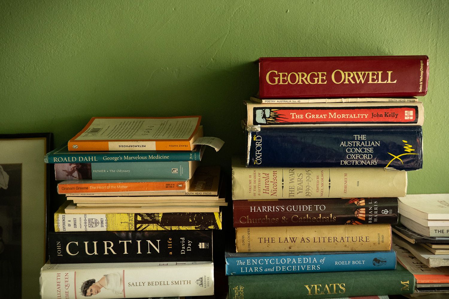 Stack of books including George Orwell title against green wall, featuring literature classics and reference books.