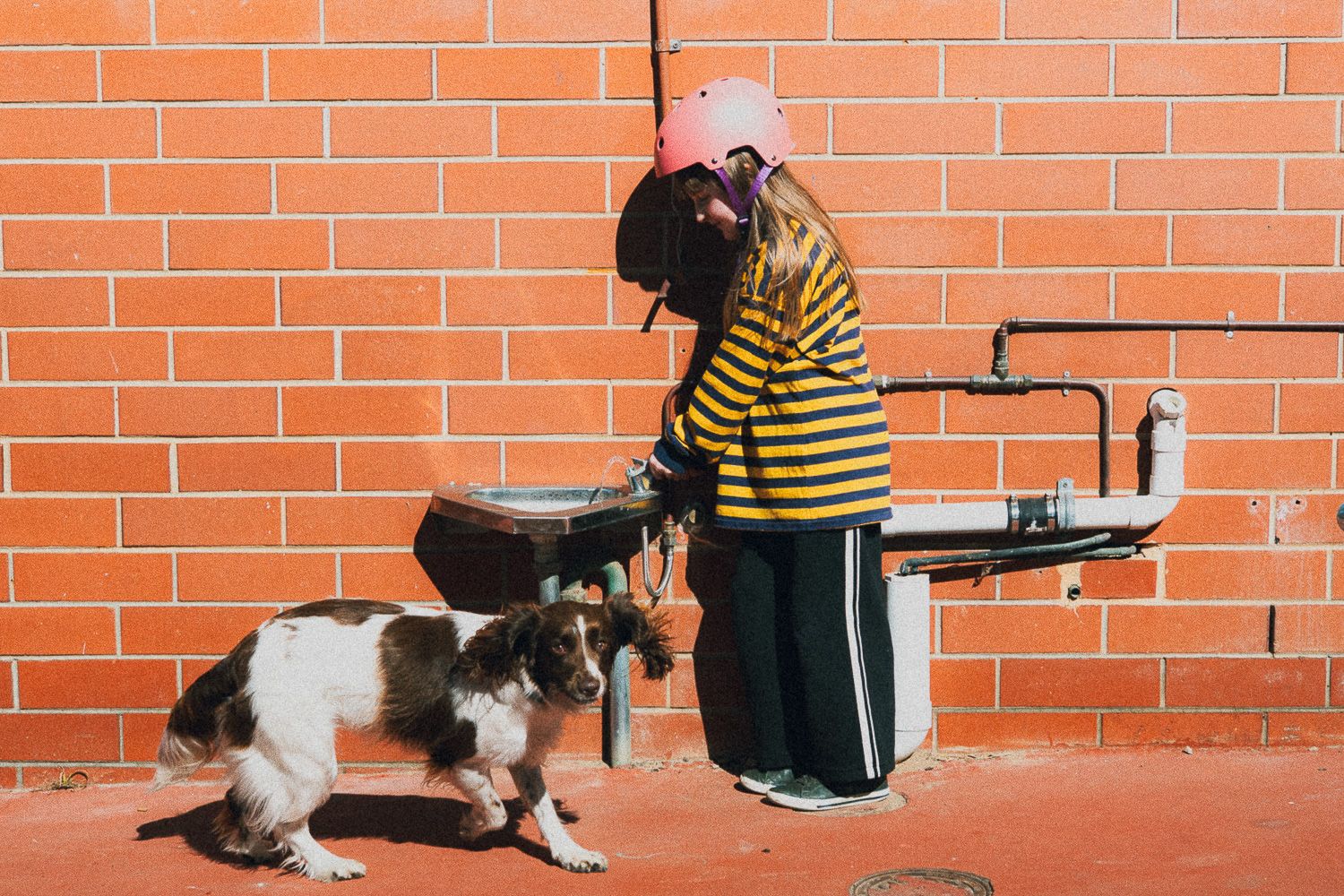 Girl in striped shirt and pink helmet pets a dog near a water fountain against a red brick wall.
