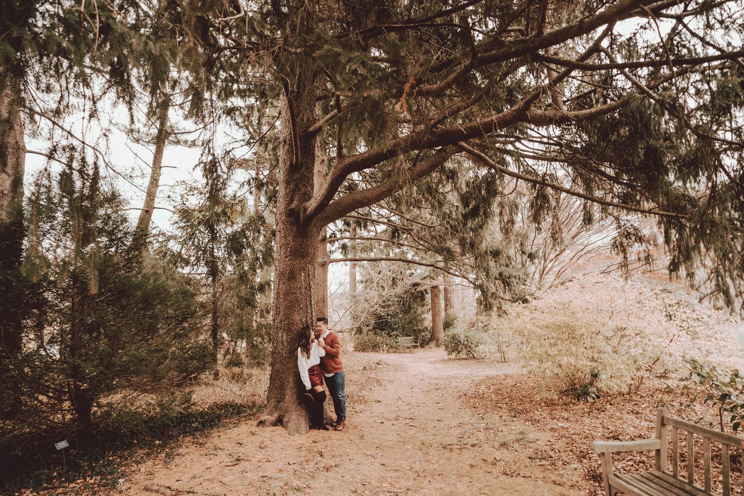 couple kissing during the engagement session under a large Tree at plantingfields arboretum