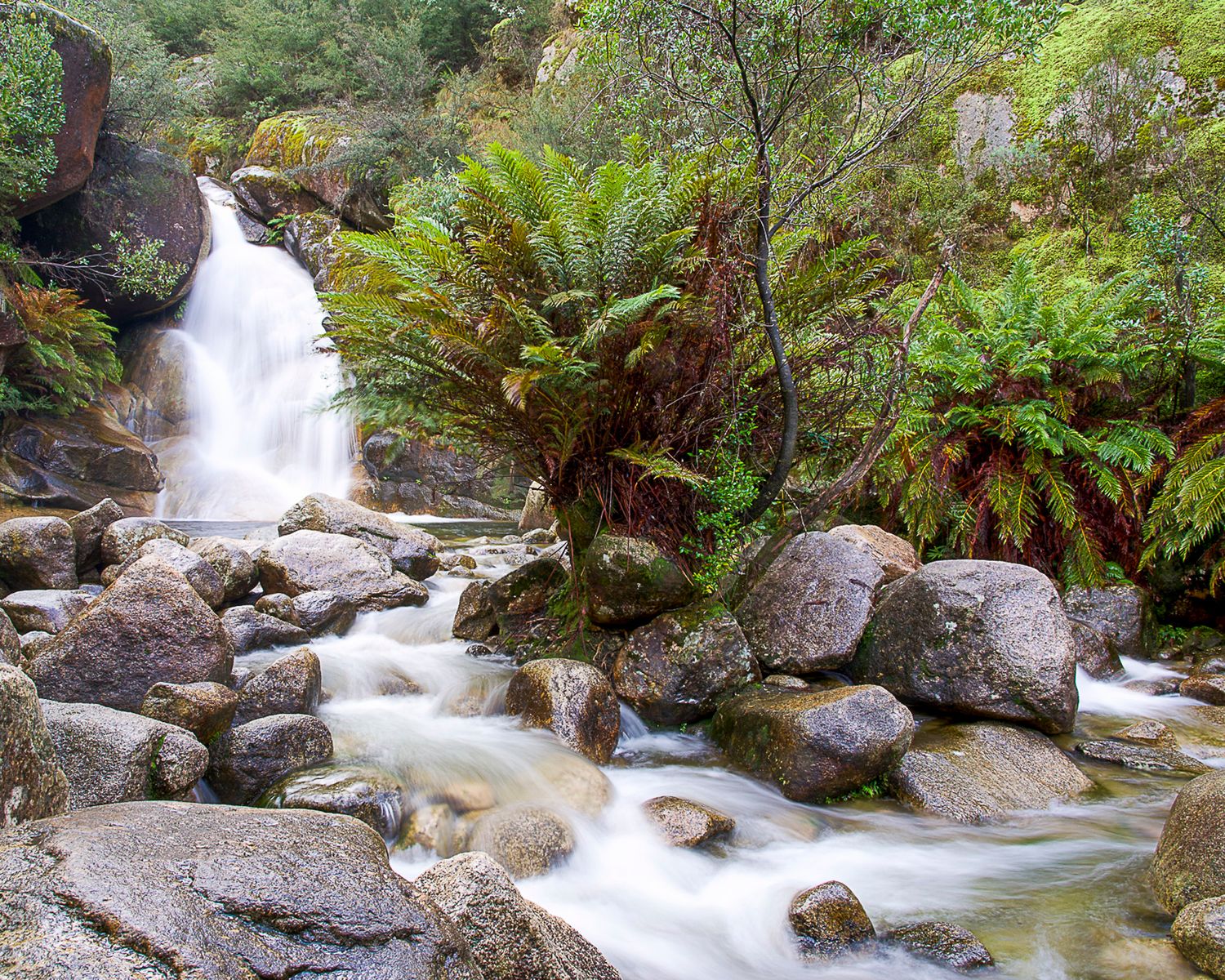 Lady Baths Falls Mount Buffalo