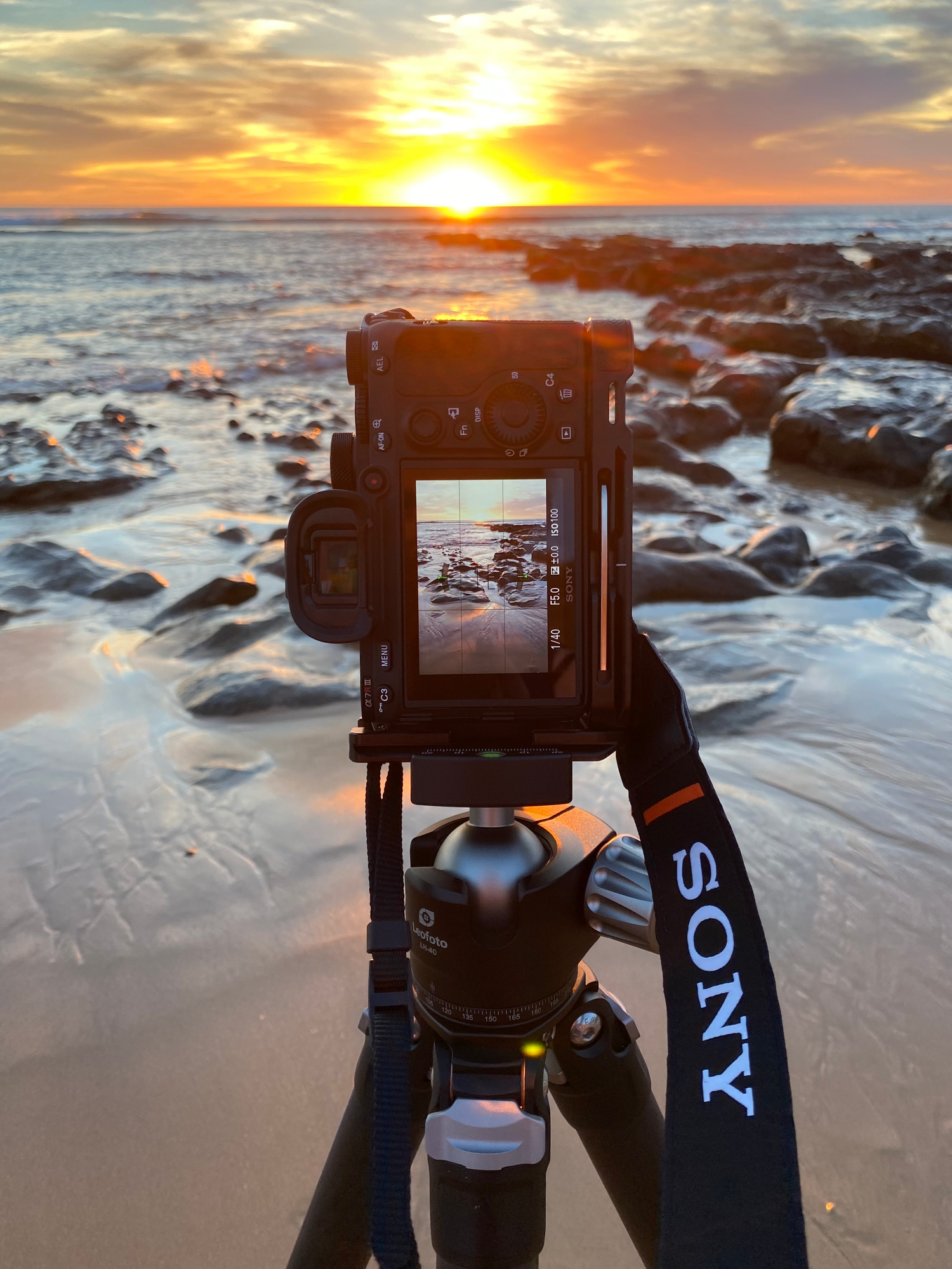 On-location Photography 1-on-1 sessions