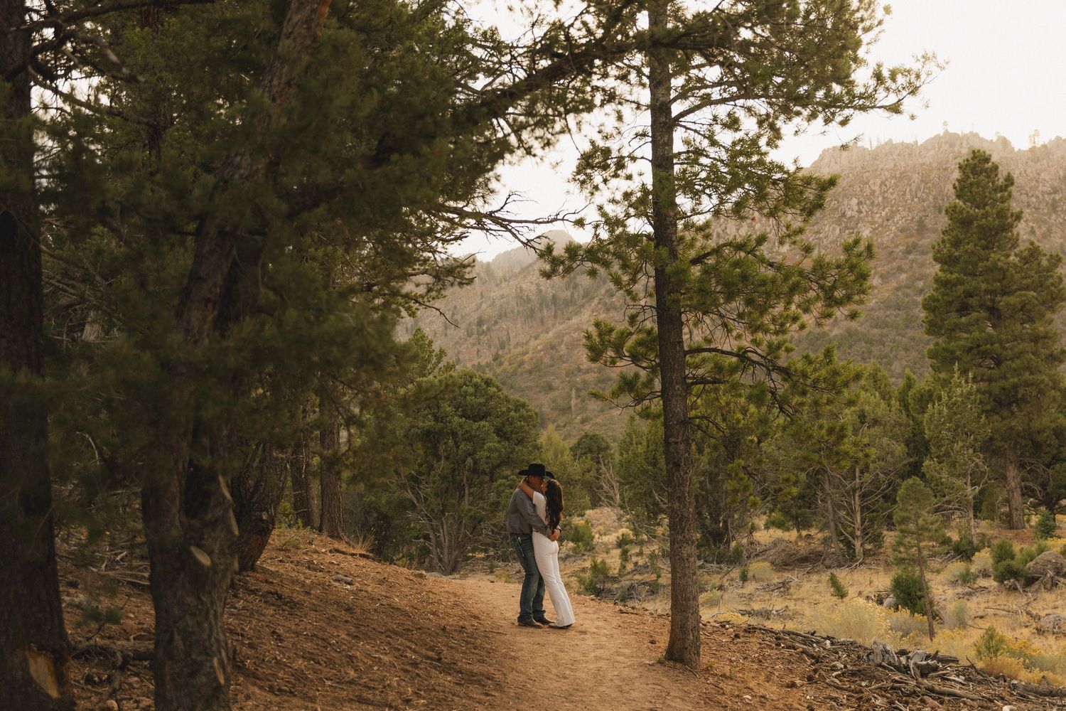 Couple hugging amidst tall trees, sharing an intimate and peaceful moment surrounded by nature.