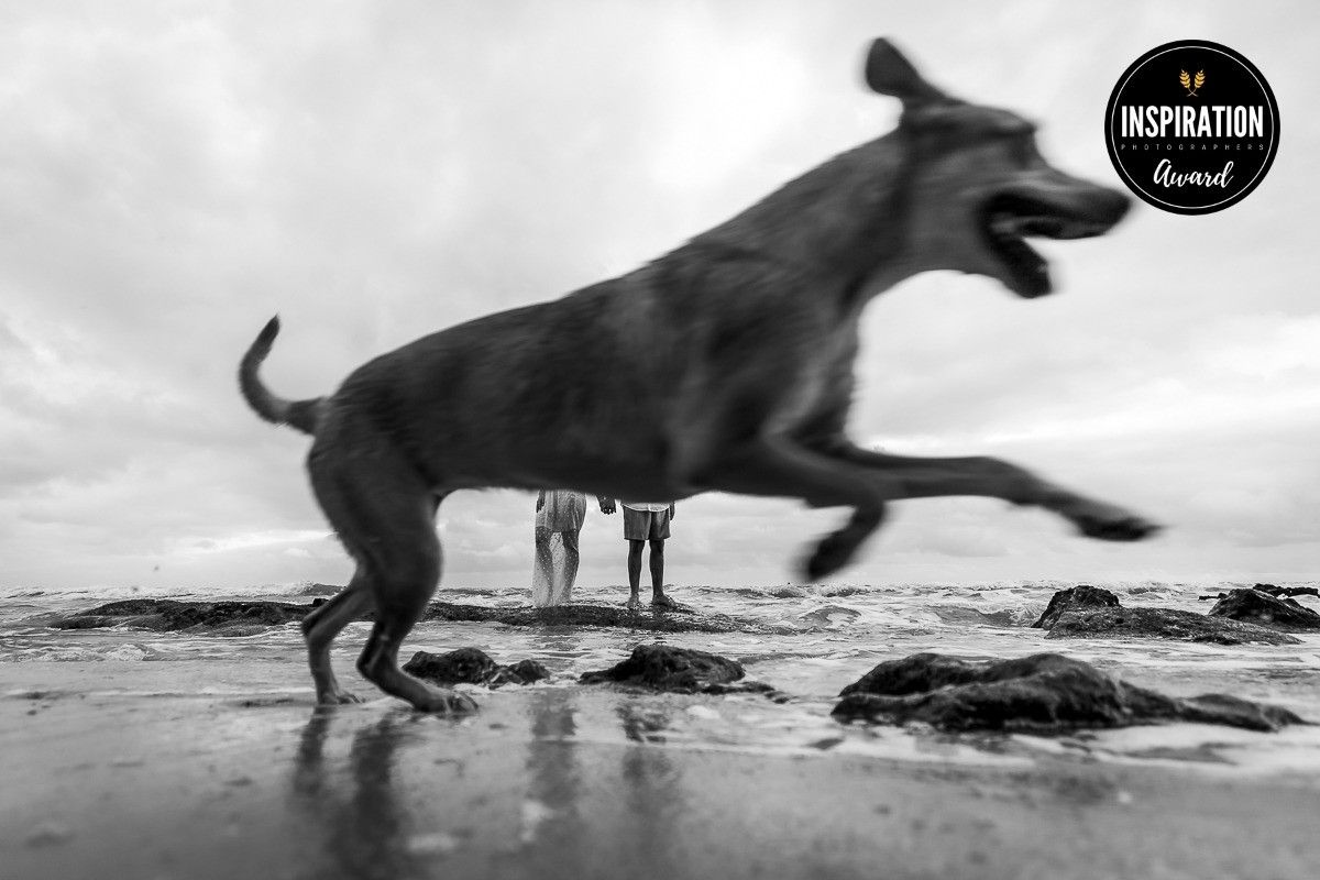 Black and white photo of a large dog leaping on a beach with two people standing in the background.