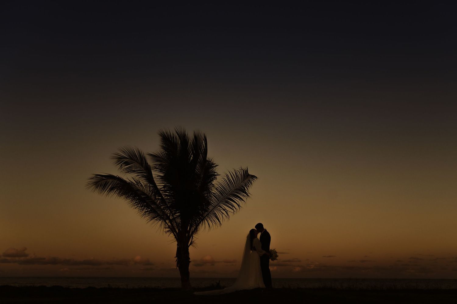 Silhouette of a couple kissing at sunset near a palm tree on a tropical beach, perfect for a romantic wedding.