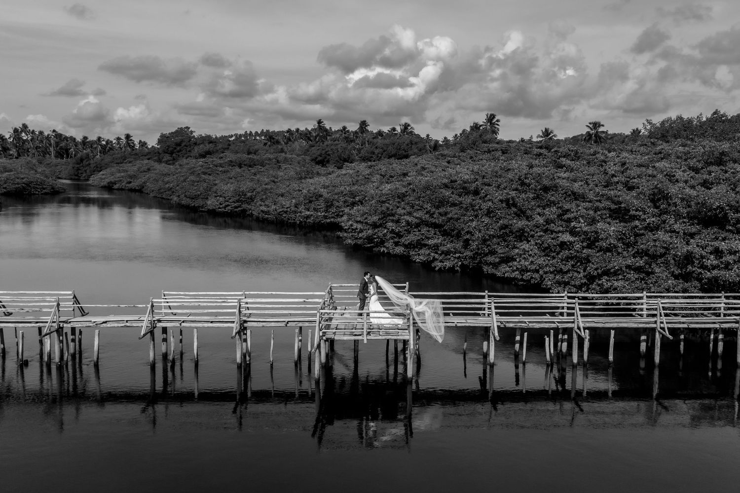 Black and white photo of a wooden dock extending over a calm river surrounded by dense mangrove trees.