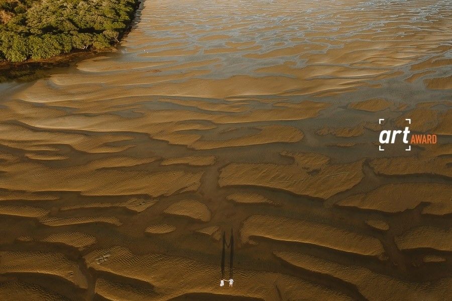Aerial view of golden sand ripples and wave patterns on a tidal mudflat with lush green trees along the shore.