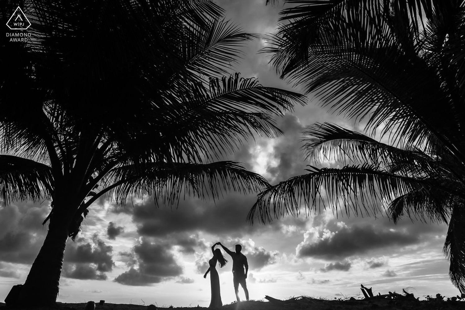Black and white silhouette of a couple standing under palm trees with dramatic cloudy sky backdrop.