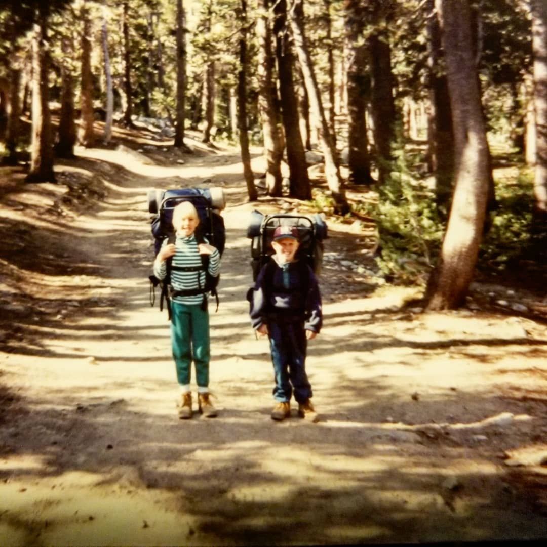 Two backpackers walking along a sunlit forest trail surrounded by tall trees.