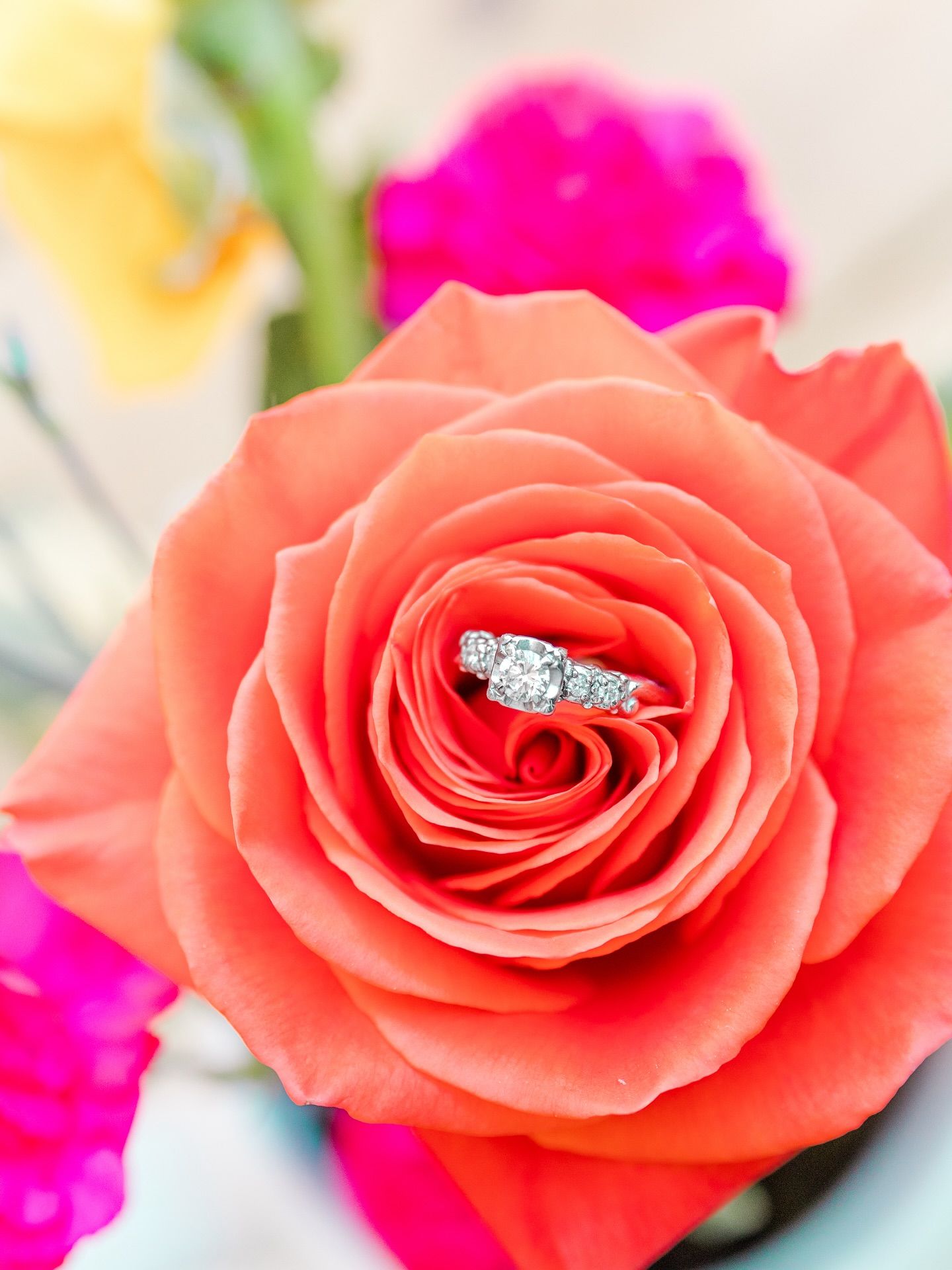 A coral pink rose blossom with a diamond engagement ring nestled in its delicate petals.
